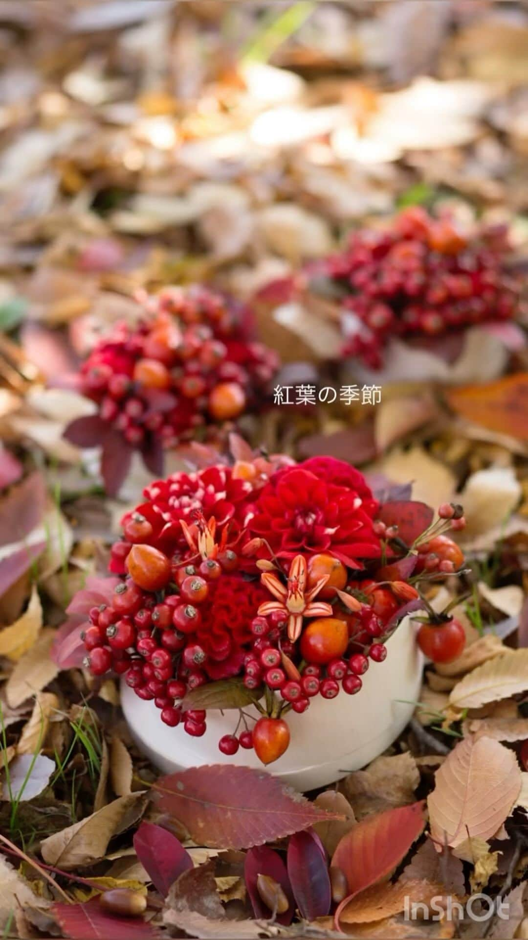 雑誌『花時間』のインスタグラム：「忙しいあなたへ。紅葉狩り気分をお届けします🍁  花時間（@hanajikan_magazine）です。  発売中の秋号では、紅葉の季節を楽しむアレンジのページがあります。  そして、その撮影をしたのが、昨年のちょうど今ごろでした。  ロケ地は東京の国営昭和記念公園。  よく晴れた秋空に、黄色、赤、茶色…さまざまな木々が錦の織物のように枝を広げていました。  イチョウの木には、夏の忘れ物なように蝉の抜け殻。  どんどん傾いていく日と競争するような撮影でしたが、あの日のどのシーンも記憶に鮮やかに刻まれています。  公園には、黄色くてかわいらしい狐のボタンも咲いていますよ。  では、本日もお疲れさまでした。今週も元気smile😊😊😊で頑張りましょう！ byピーターパン  アレンジ　@shopffplantule  写真　@satomi.ochiai78   【花時間ニュース】 💜『花時間マルシェ』発、花の定期便が大好評🥰　世界でここだけのバラと旬花が届く嬉しいサービスです💕  💜『花時間』の2024年カレンダー、大好評発売中！  💜『花時間2023秋』〈花屋さんへ行こう〉大好評発売中！  💜『花と短歌でめぐる 二十四節気 花のこよみ』大好評発売中  すべて @hanajikan_magazine のプロフィールのリンクから飛べます✈️  『花時間』本誌や書籍は全国の書店、ネット書店でも発売中✨  #花時間  #紅葉 #紅葉の季節 #国営昭和記念公園  #autumn  #フラワーアレンジ #花が好き #花が好きな人と繋がりたい  #花を飾る  #花を飾る生活 #花屋さんへ行こう」