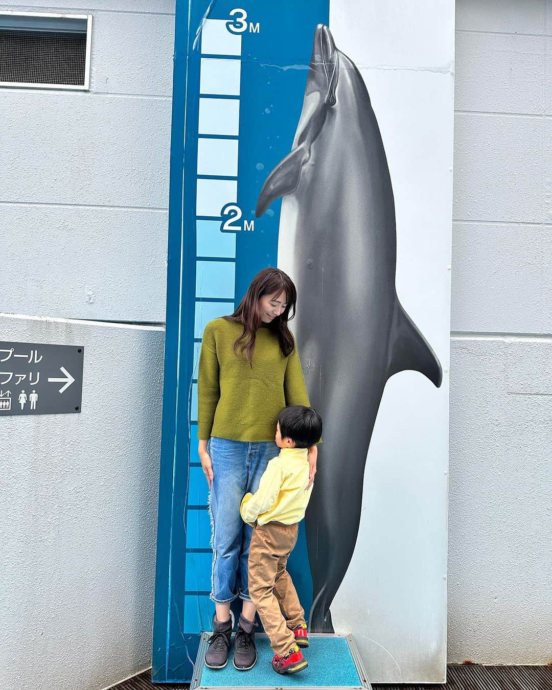 今井美穂さんのインスタグラム写真 - (今井美穂Instagram)「⁡ 久々に見たイルカショーに大興奮🐬💓 ⁡ 沢山のお魚見て癒されました✨🐟 ⁡ でもイカとかノドグロとかみて 美味しそうだね〜と 自然につぶやいちゃう私😂笑 ⁡ マリンピア日本海 楽しすぎてついに年パス購入しました🤩 ⁡ 赤ちゃんの頃はビビりまくってた息子ですが 興味津々、絶叫するくらいに楽しんでました🙌 成長だなぁ〜✨ ⁡ ⁡ #新潟子連れスポット #マリンピア日本海 #水族館 #4歳」10月29日 17時51分 - imaimiho1209