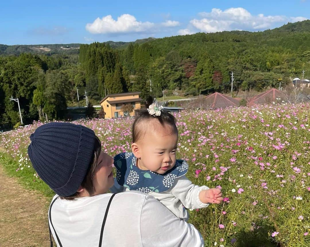 下野佐和子さんのインスタグラム写真 - (下野佐和子Instagram)「家族ではじめての上原高原🌸  娘は、はじめてのコスモス〜👶🏻✨  妊婦🤰🏻頑張って頂上まで登った・・・笑 ぜぇぜぇ言いながら登りきったわい💨  家族3人の時間も後少し、 1ヶ月後にはもう1人、家族が増えてると思うと・・・ 楽しみでワクワクと👏🏻 どうなってるのかな〜って気持ちと入り混じる。  体力と時間が許す限り、今を楽しもう😌♡  #1歳女の子 #鹿児島 #出水市 #上原高原 #コスモス畑 #35週妊婦   🤰🏻先週の妊婦健診で35週なのに、お腹の中の赤子が数週よりも3週間ほど大きさがあると言われました。娘の時が、緊急帝王切開だったので、次は計画的に帝王切開のオペ日を決めてるんだけど、その日より早まったりする可能性あるのかな？🥹💦ちょいと不安。　　#記録までに✍️」10月29日 17時57分 - osawadon_sawako