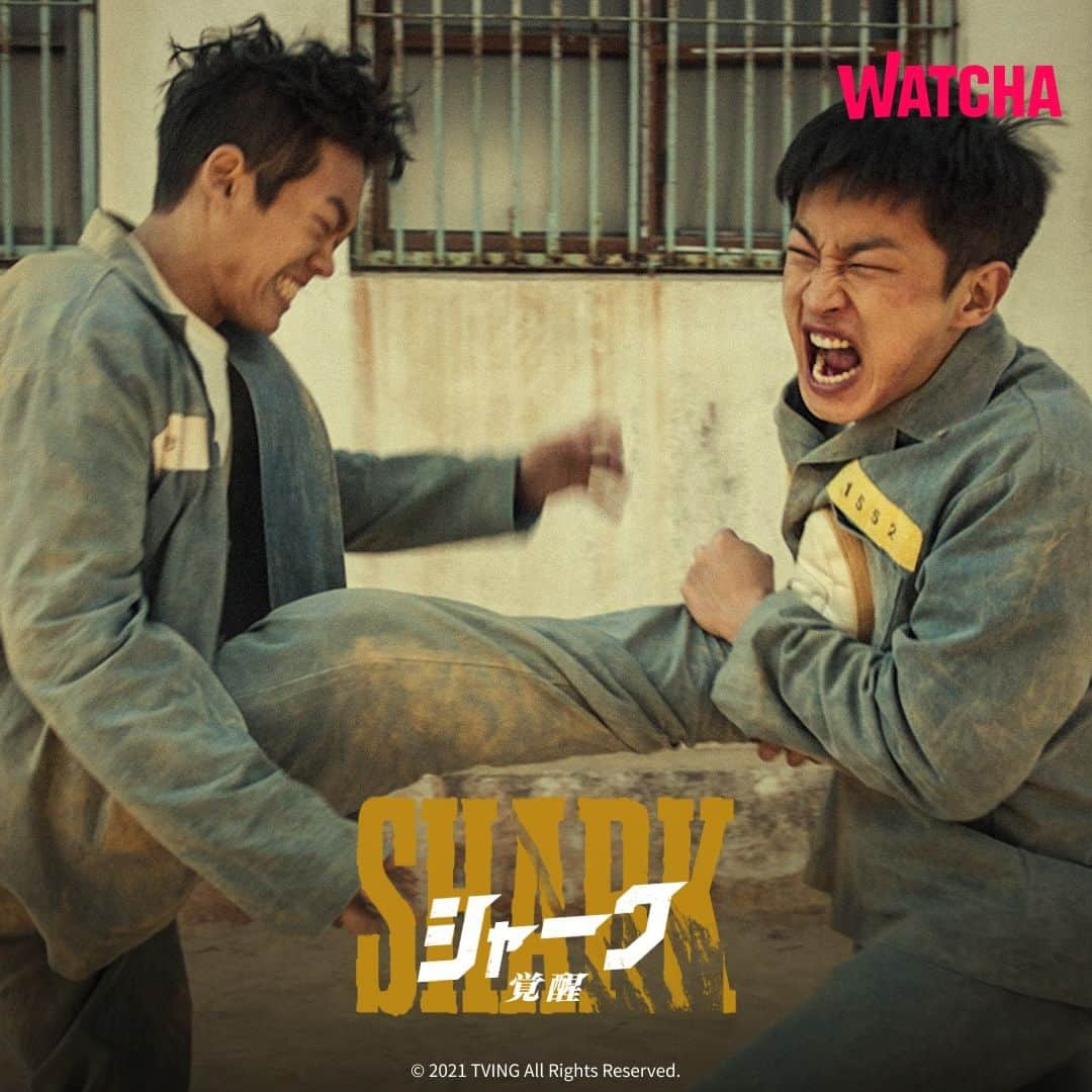 WATCHA(ウォッチャ) / 映画、ドラマ、アニメさんのインスタグラム写真 - (WATCHA(ウォッチャ) / 映画、ドラマ、アニメInstagram)「狩るか、狩られるか―― 限界突破リアル・リベンジアクション！  キム・ミンソク&ウィ・ハジュン主演『シャーク 覚醒』はWATCHAで配信中❗️  #WATCHAで配信中 #WATCHAおすすめ #韓国俳優 #韓国女優 #韓国俳優さん #韓国ドラマおすすめ #韓国ドラマ #韓国ドラマ好きな人と繋がりたい #韓国ドラマ好き #韓国ドラマ好き #韓国ドラマ好きと繋がりたい #韓国ドラマ中毒 #韓ドラ大好き #韓ドラ好きな人と繋がりたい #韓国ドラマ好きな人と繋がりたい #シャーク覚醒 #キムミンソク #ウィハジュン #チョンウォンチャン」10月29日 18時00分 - watcha_jp