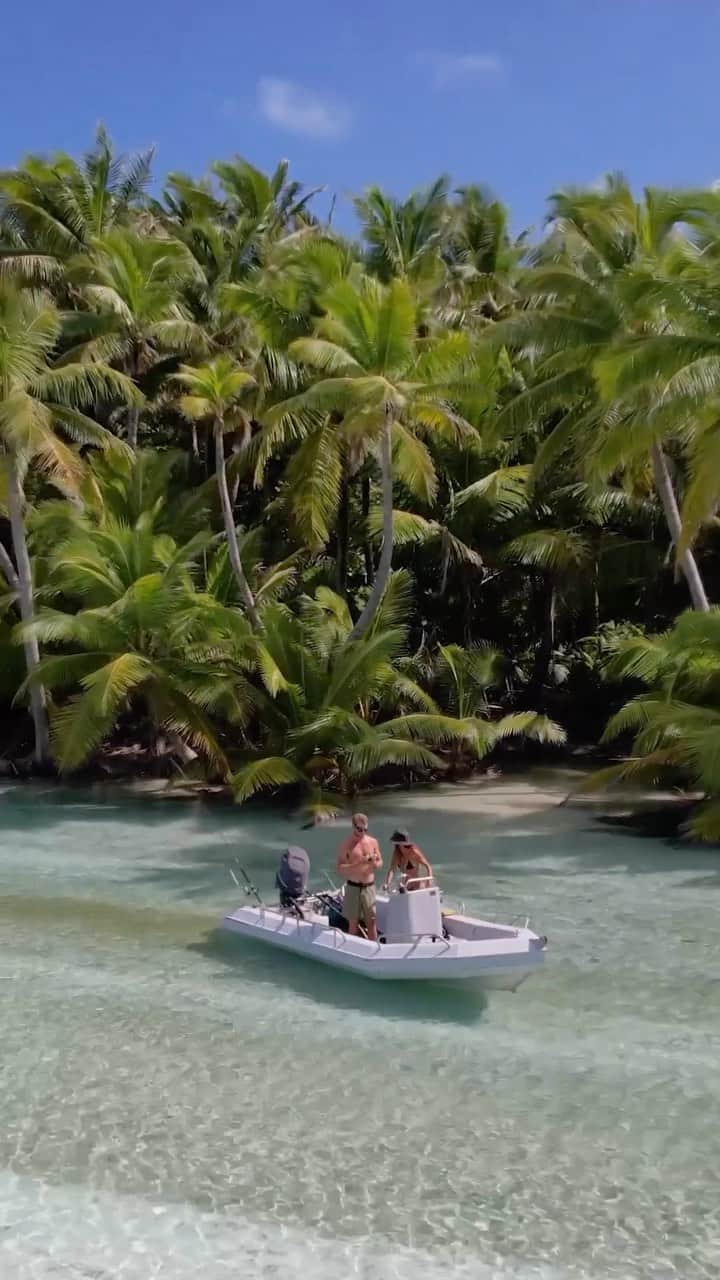 Australiaのインスタグラム：「Yep... this is what Sundays look like on @cocoskeelingislands! 🌴😍 The stunning Cocos (Keeling) Islands, or simply “Cocos” to the locals, are tucked away off the coast of @westernaustralia. It’s pretty much summer all year round in this beautiful part of #Australia, with temperatures sitting at an average of 30°C. Base yourself on #WestIsland for an exotic island experience unlike anywhere else, and spend your days swimming amongst coral reefs, learning about the local Cocos Malay people or simply kicking back on the sandy shores. Tip: one of the best ways to explore the islands is on a motorised canoe safari with @cocosadventuretours 🛶   🎥/📍: @cocoskeelingislands, @westernaustralia - home to the Cocos Malay people.   #SeeAustralia #ComeAndSayGday #WATheDreamState #CocosKeelingIslands  ID: video opens with a drone shot zooming away from a couple in a boat, floating on crystal-clear waters. A dense forest of palm trees rises up behind them on the island. The following shots include aerial footage of the boat and dolphins playing in blue water under a pink sky.」