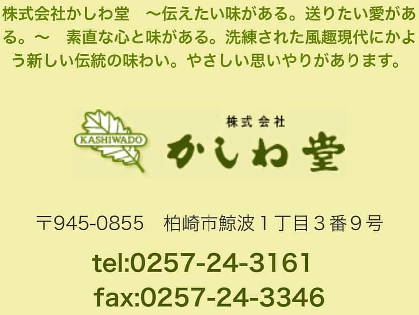 青木茉里奈さんのインスタグラム写真 - (青木茉里奈Instagram)「〈ご報告〉 この度、昨年契約をさせていただきました、かしわ堂様と、今年も契約をいただきました。 凄く心強くて、本当に感謝の気持ちでいっぱいです。 精一杯、精進して参ります。  青木茉里奈  https://www.kashiwadou.co.jp/  _ _ _ _ _ _ _ _ _ _ _ _ _ _ _ _ _ _ _ _ _ _ _ _ _ _ _ _ #taylormade #taylormadegolf #teamtaylormade #株式会社かしわ堂 #ustmamiya #iomic #eyevol #ecco」10月29日 18時18分 - marinaaoki28