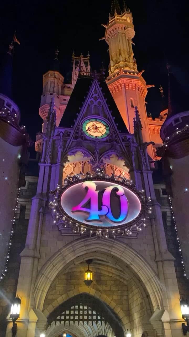 犬束ひとみのインスタグラム：「🐭🏰🤍💨 毎日いきたいな〜！ 次はSEAいきたい🌊」