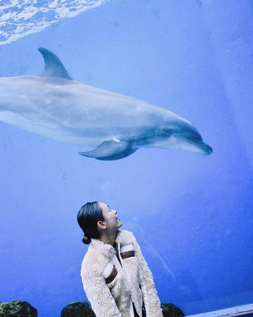 滝裕可里さんのインスタグラム写真 - (滝裕可里Instagram)「🐬🐬🐬  久しぶりに水族館へ 昔はドルフィントレーナーになることが 夢だったなーなんて懐かしくなりました。 今はドッグトレーナーな私です🐕  どのエリアの生き物も イキイキしていて嬉しくなった。 彼らが幸せだといいなぁー🍀♡  #八景島シーパラダイス #水族館 #イルカ」10月29日 18時34分 - takiyukari_official