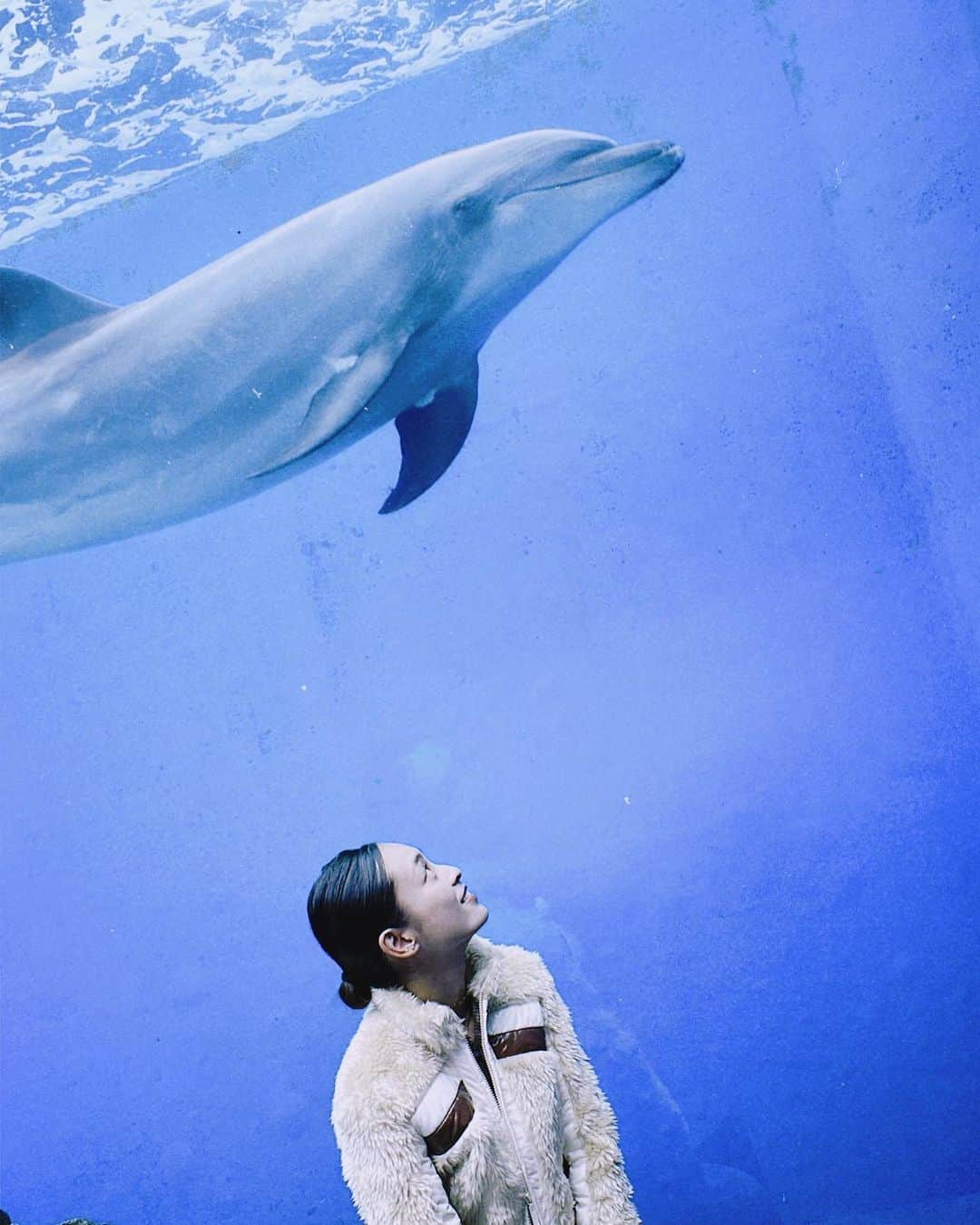 滝裕可里さんのインスタグラム写真 - (滝裕可里Instagram)「🐬🐬🐬  久しぶりに水族館へ 昔はドルフィントレーナーになることが 夢だったなーなんて懐かしくなりました。 今はドッグトレーナーな私です🐕  どのエリアの生き物も イキイキしていて嬉しくなった。 彼らが幸せだといいなぁー🍀♡  #八景島シーパラダイス #水族館 #イルカ」10月29日 18時34分 - takiyukari_official