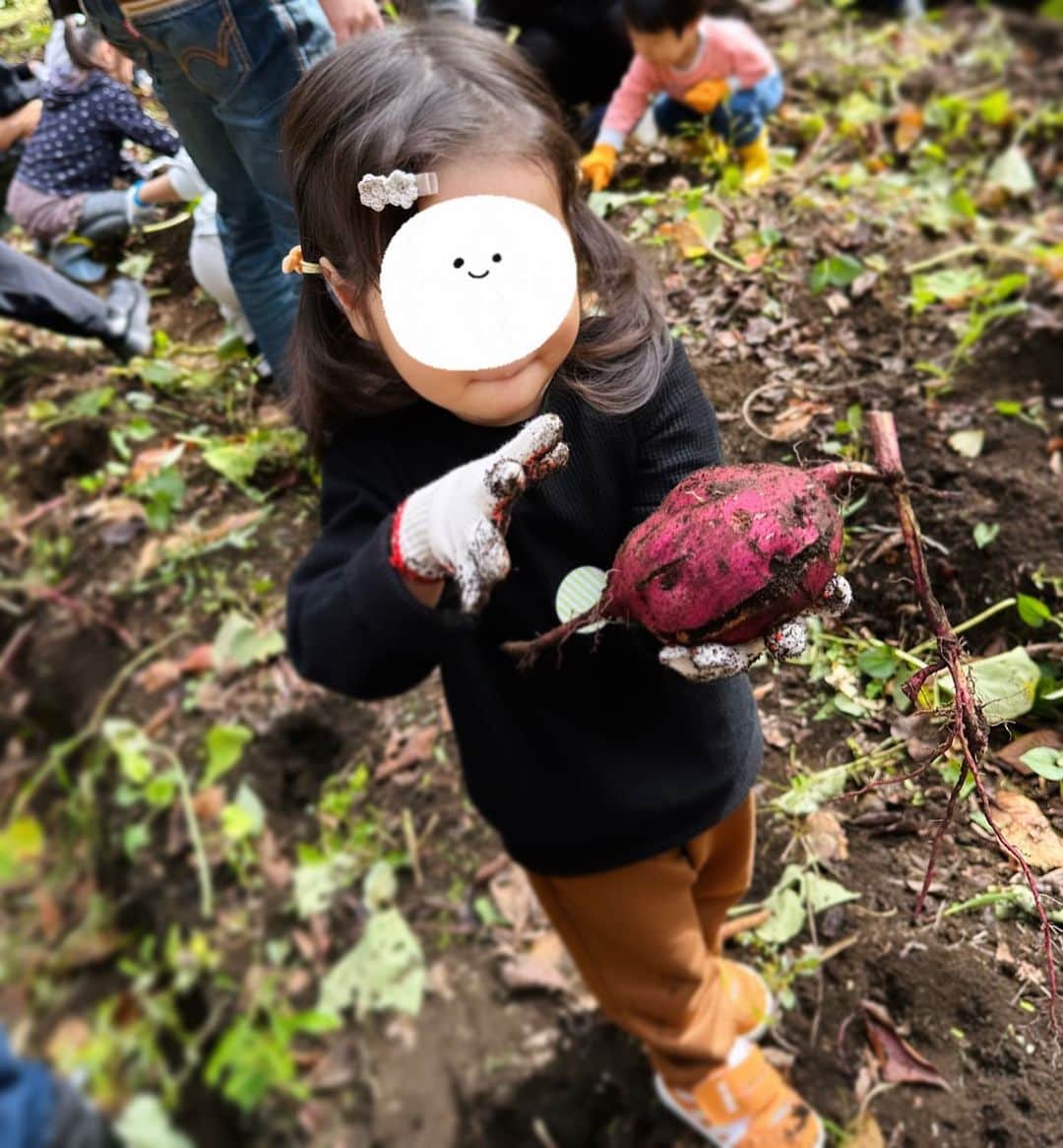 鈴木あきえのインスタグラム：「#お芋掘り  近所の幼稚園お友達と、お芋掘りへ🍠  春に植えた苗が、立派なお芋に育ってました🍠🍁  たーくさんとれたね🧡  幼稚園遠足で経験してるからか、どこか得意げな息子と、 初体験お芋掘りに終始ニッコニコな娘。  こういう体験たくさんしたいですね〜☺️🎃  さて、 明日からまた1週間始まる！早すぎる😂🤝  体調気をつけて乗り切りましょうね😊🩷」