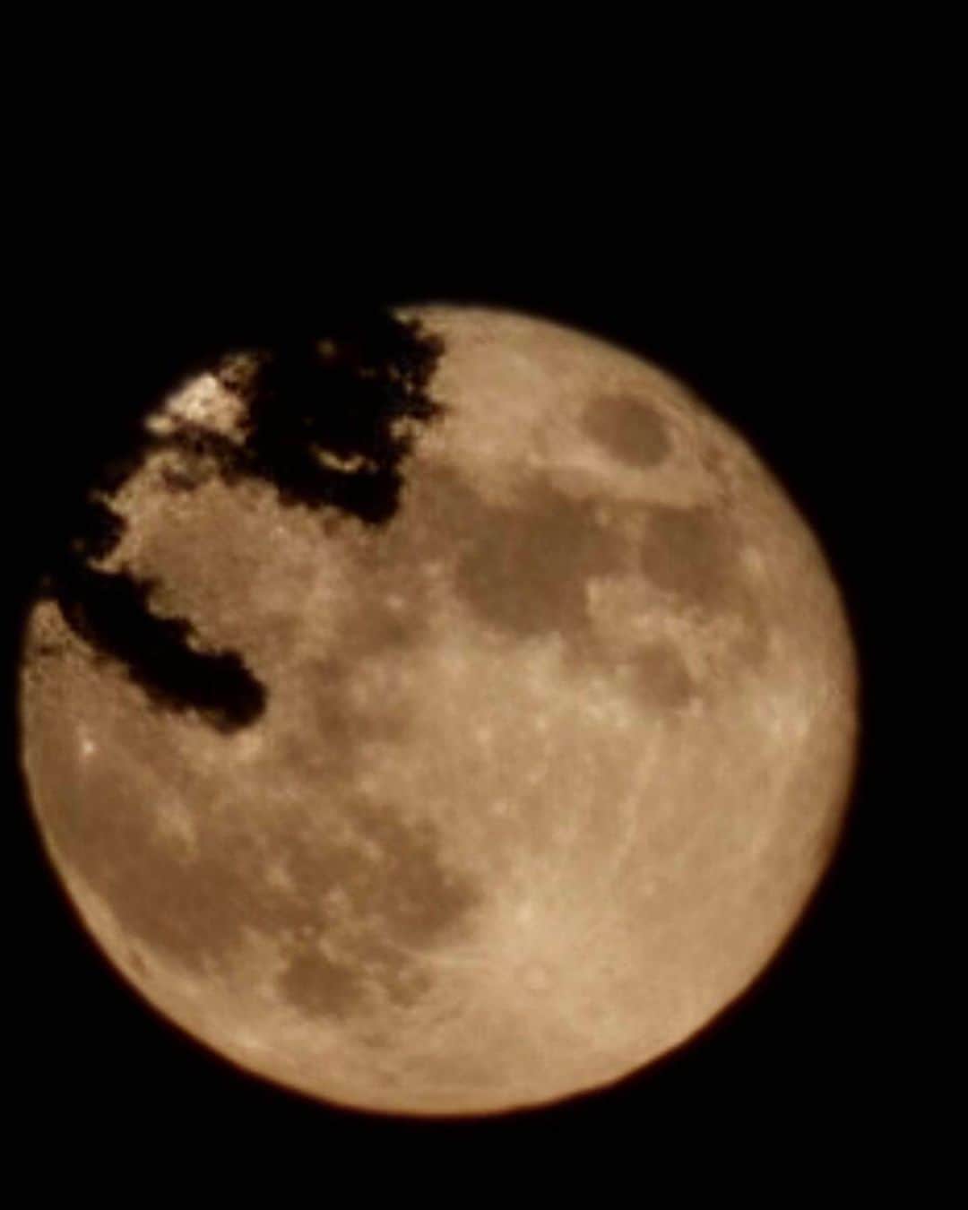 中村ゆりのインスタグラム：「今宵の月 （マネージャーさんが撮った） 登ってくる月 （私が撮った）  ステキだぁ。」