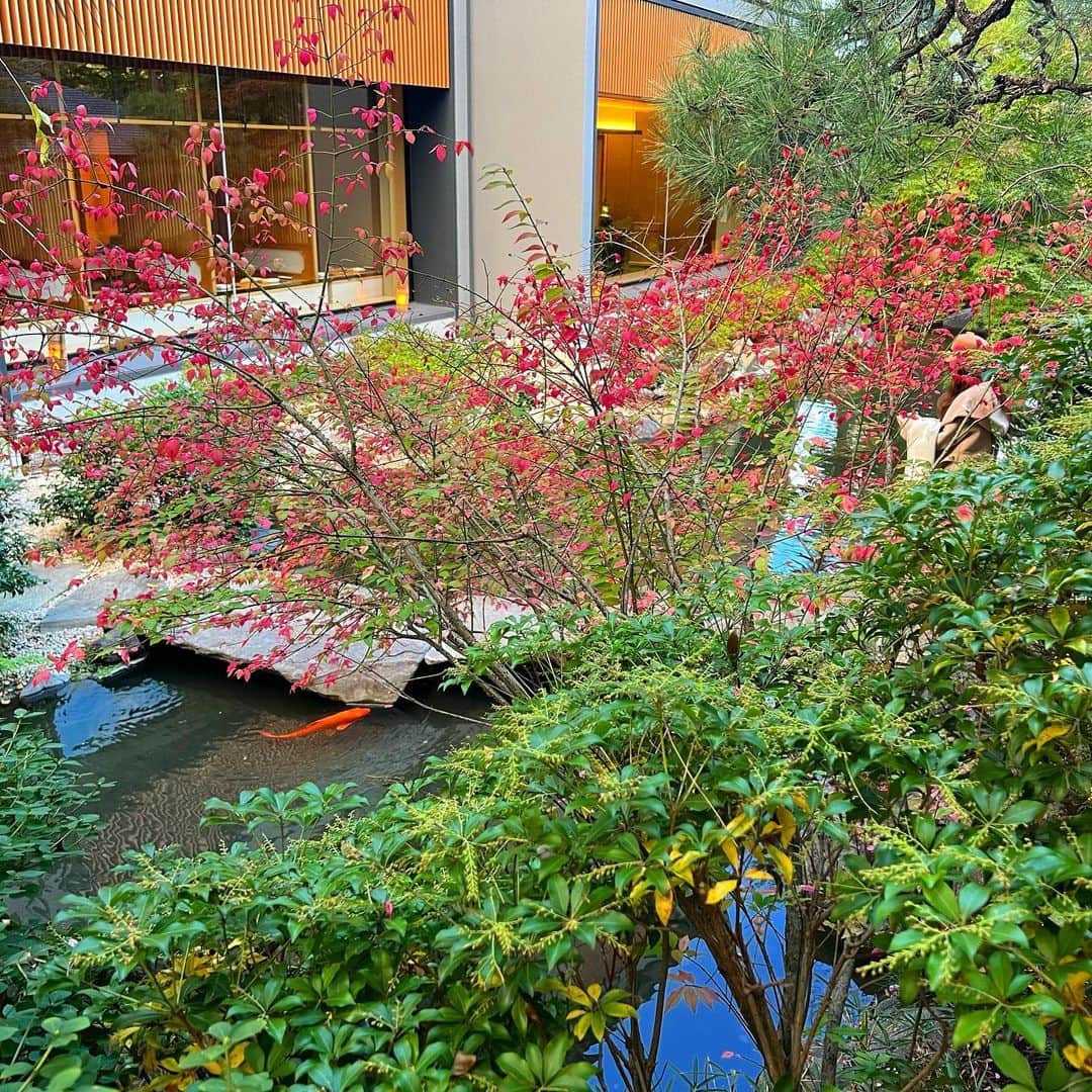 マキ・コニクソンさんのインスタグラム写真 - (マキ・コニクソンInstagram)「京都に来ました。 古都はいいね。☺️ 京都の岡崎にオープンした カフェに行った後にその近くにある 平安神宮に参拝しに行きました。 紅葉が始まって木々に 色がついて綺麗でした。  たくさん歩いたからヘルシーな気分。 凄く気持ちが良いよ。  今回宿泊したホテル”ふふ京都”が とっても素敵だから紹介します！ 中庭が美しかった。 (写真2-8枚目)  今日の京都の夕焼け空は 燃えるような赤色に染まっていました！🔥 (10枚目)  京都を楽しんでます！😊  #エア京都 #平安神宮 #京都のおすそ分け🤙🏼  #コニクソンの旅レポ✍🏻  #ふふ京都」10月29日 18時50分 - makikonikson