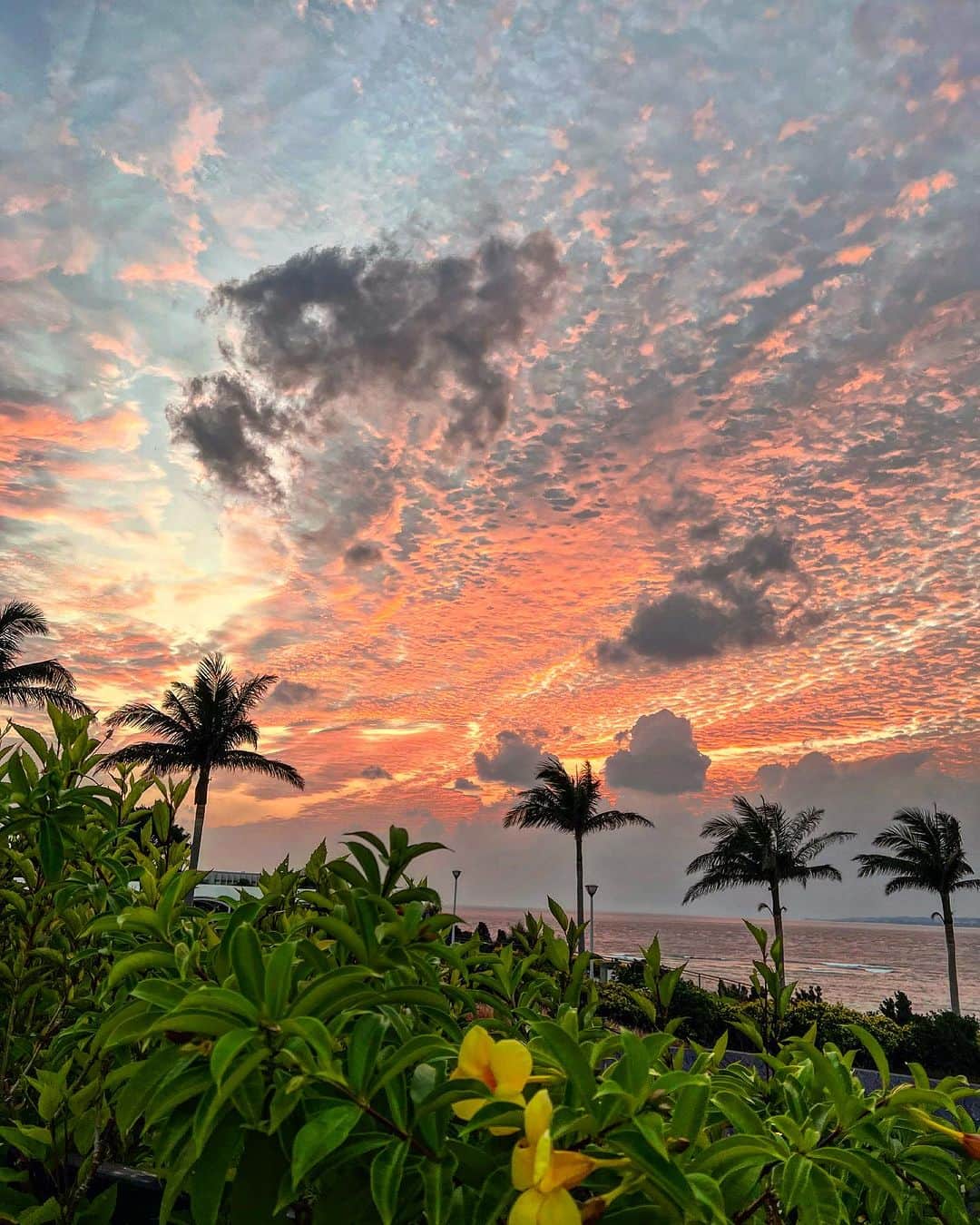 高松いくのインスタグラム：「美しすぎた夕焼け🌆 ぜひ... BGMと一緒にご覧になって 癒されてください😌  沖縄のレセプションにいた時 観光客の方々が 毎日毎日違うお客様で 人の一期一会を感じていたけど  沖縄の夕焼けも海も 毎日毎日毎日3週間 一度も同じ色は無く💛🧡💙  景色も一期一会でした😌  Instagramで美しい景色を残そうと インスタ映え探しは 毎日毎日宝探しですよね〜ヽ(´▽｀)/  この美しい夕焼け景色を いかに そのままありのまま 残せるか、シェア出来るか 夕焼け色は時間との勝負 蚊🦟との戦いでもあった（笑）  #夕焼け #夕焼けハンター #沖縄県  #沖縄好きな人と繋がりたい 人いっぱいいるのが凄い😌 #沖縄ヨガ もいっぱい😳 #景色 #美しい日本 #日本　#日本の風景 #南国 #リゾート  #reaort #japan #travelgram」