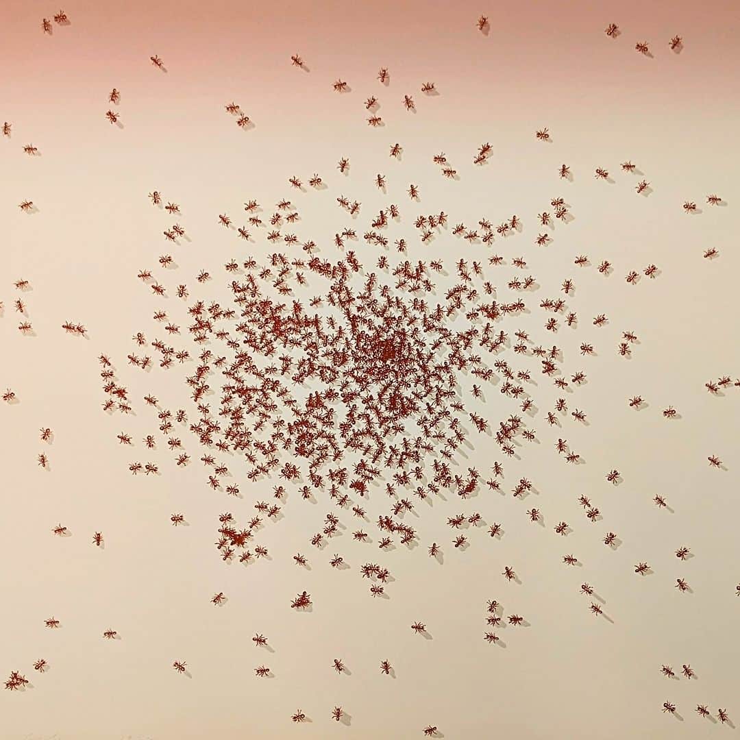 大英博物館のインスタグラム：「🐜 We’ve been so ‘antsy’ to share this artwork! 🐜  ‘Insects’ is a series of screenprints by the American artist Ed Ruscha. Our new display brings the entire portfolio together to showcase hundreds of life-sized critters seemingly crawling across the flat surfaces 🐛🦗  🔎 Zoom in to see just how real these bugs look!  🐛 If ‘we've hooked you on this landmark artist of Postwar America, head over to the @museumofmodernart and explore their major Ruscha retrospective 👀   🏛 ‘Ed Ruscha: roads and insects’ will be on display in Room 90a of the Museum until 28 January 2024.   🔎 Ed Ruscha (b. 1937), 'Swarm of Red Ants', from the series 'Insects'. Screenprint on paper, 1972. Gift of a Private Collector in Memory of Paul Thomson to the American Friends of the British Museum. Reproduced by permission of the artist.   #BritishMuseum #EdRuscha #Insects」