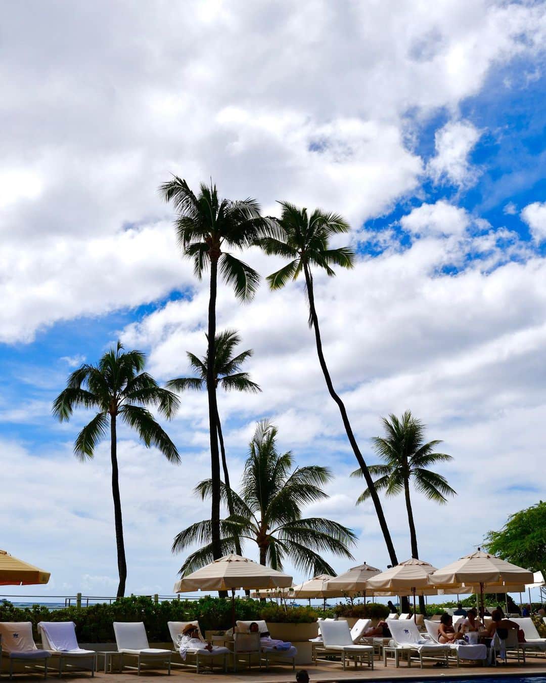 リンさんのインスタグラム写真 - (リンInstagram)「#ハレクラニワイキキ 🌺👙🕶️  #halekulaniwaikiki   #哈利库拉尼 威基基」10月29日 19時02分 - rinn0626
