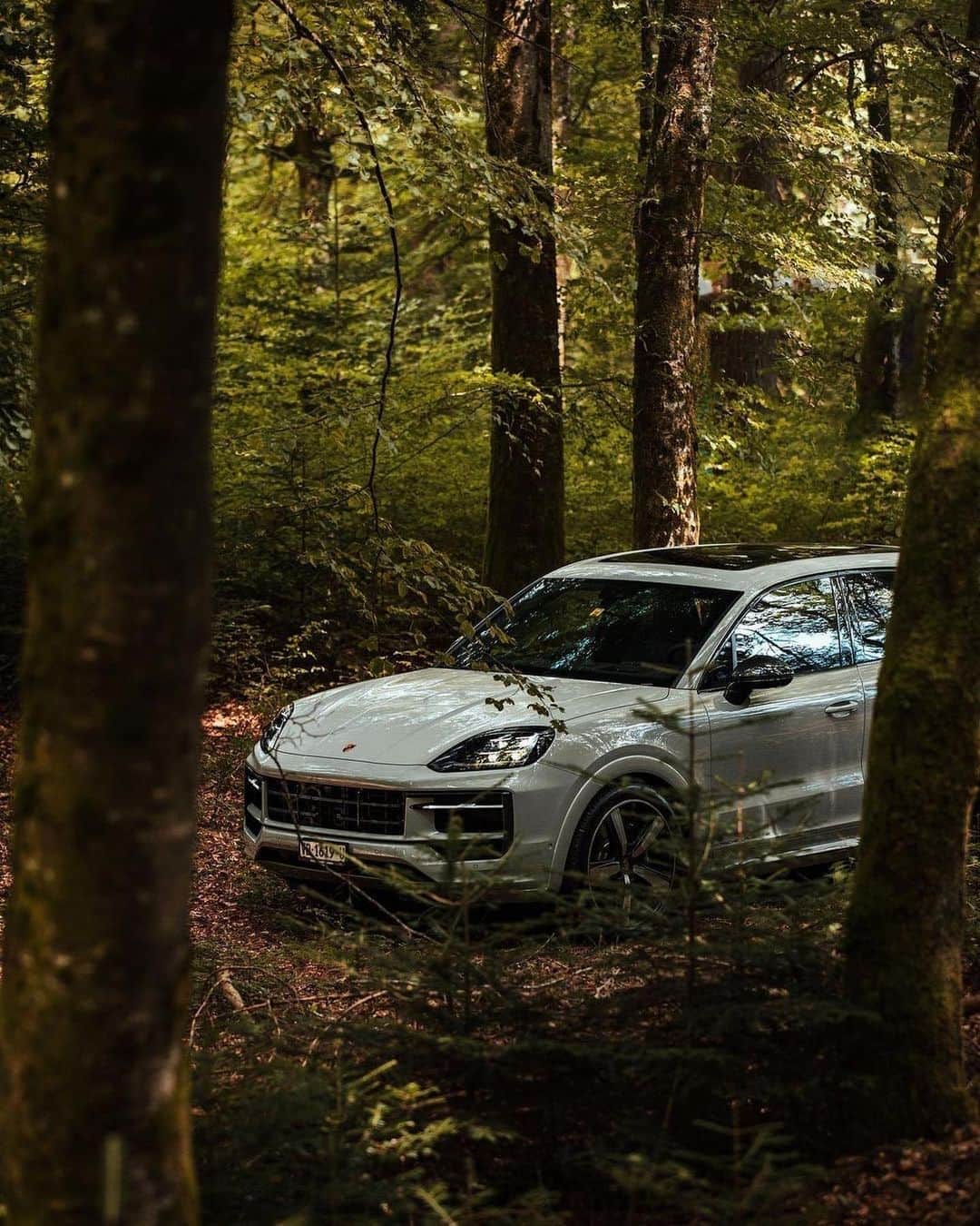 Porscheのインスタグラム：「Into the woods. 📸 @not_bradpitt 🚙 @porsche_lausanne #PorscheMoment  __ Cayenne S: Fuel consumption combined in l/100 km: 13,4 - 12,4 (WLTP); CO2 emissions combined in g/km: 303 - 282 (WLTP) I https://porsche.click/DAT-Leitfaden I Status: 10/2023」
