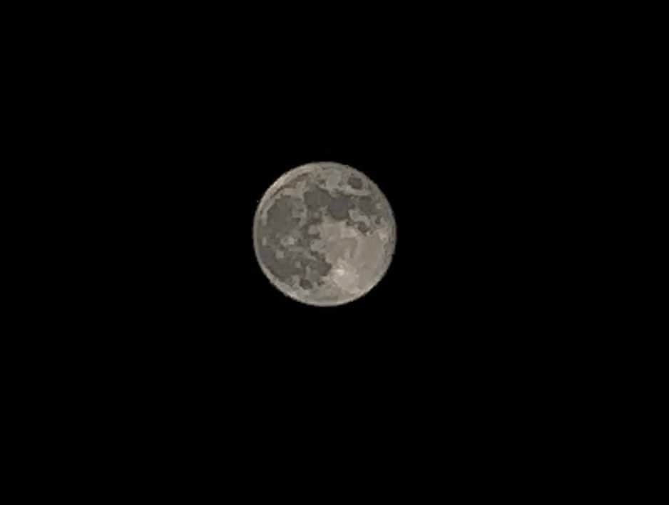 山田稔明さんのインスタグラム写真 - (山田稔明Instagram)「Hunter's Moon & Jupiter」10月29日 19時26分 - toshiakiyamada