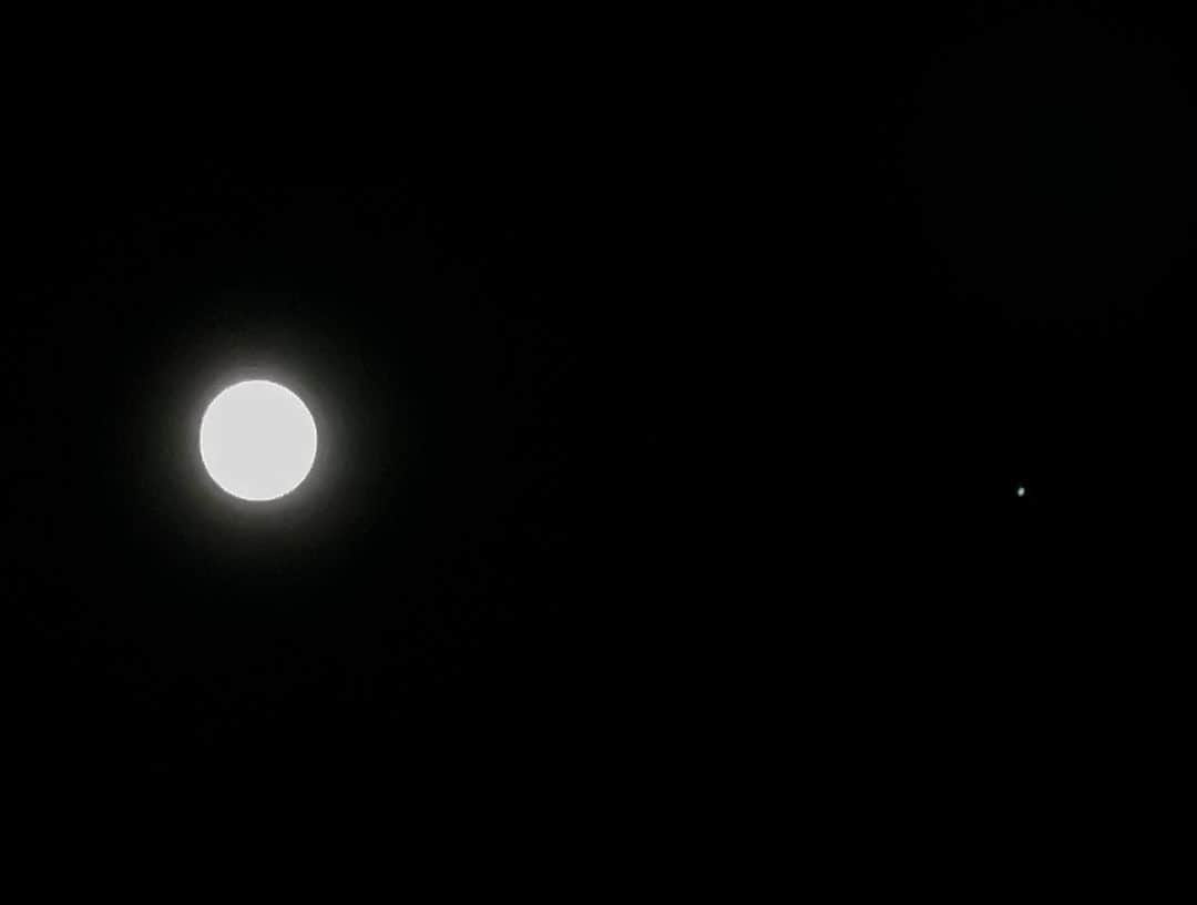山田稔明さんのインスタグラム写真 - (山田稔明Instagram)「Hunter's Moon & Jupiter」10月29日 19時26分 - toshiakiyamada