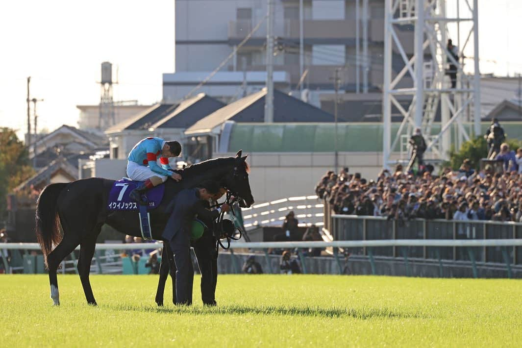 クリストフ・ルメールさんのインスタグラム写真 - (クリストフ・ルメールInstagram)「Equinox better than ever to win the Group 1, Tenno Sho at Tokyo! Thank you for all the support 🐎🙏🏼 #Equinox #CL  東京の天皇賞・G1をイクイノックスがこれまで以上に制覇！たくさんのご支援ありがとうございます🐎🙏🏼 #春分 #CL」10月29日 19時26分 - christophelemaire_officiel