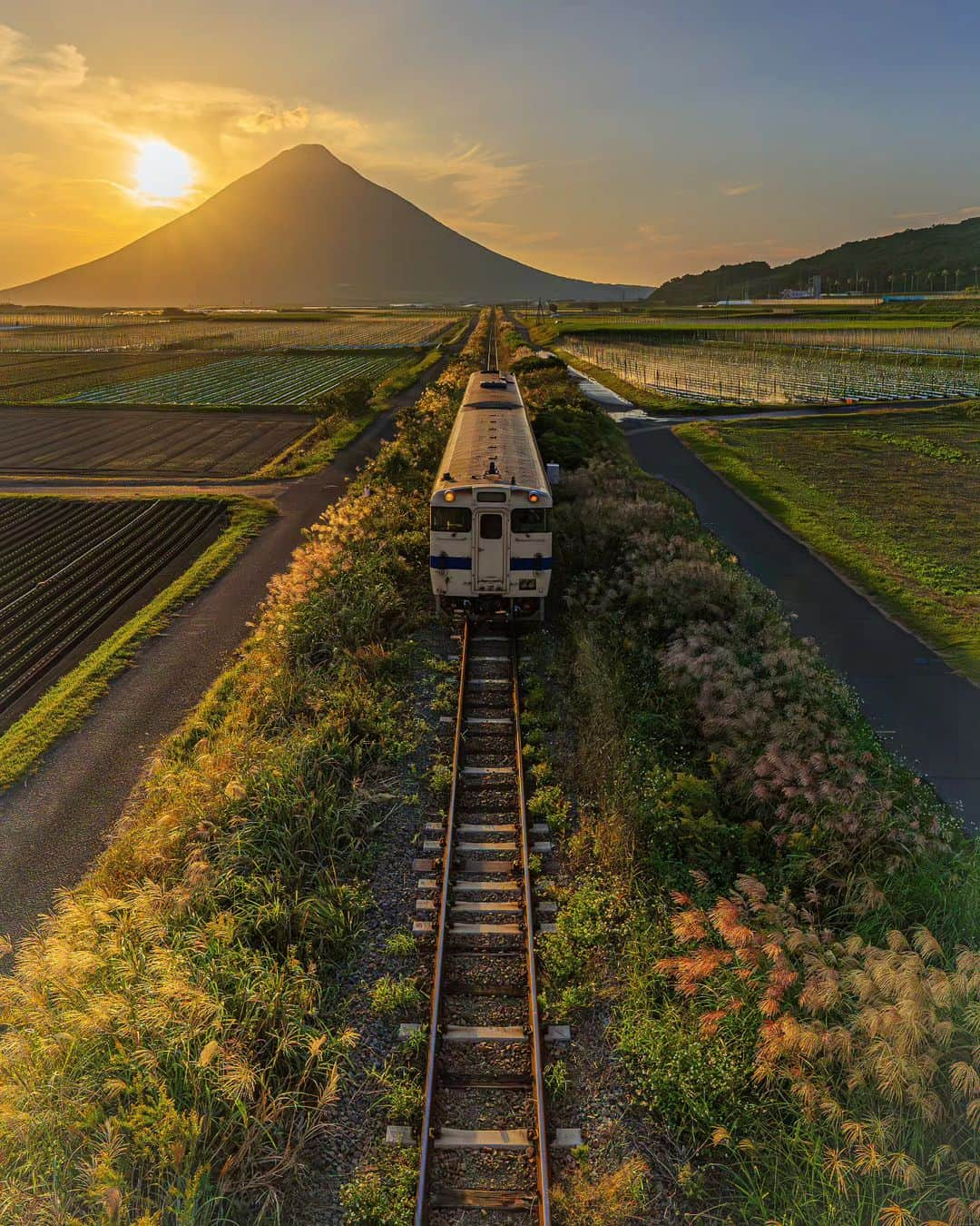 鹿児島よかもん再発見のインスタグラム：「夕暮れのJR指宿枕崎線　西大山駅近くにて(^o^)／  秋の夕暮れ🌾 今年も良い風景が撮れました🙌  あっと言う間に11月に この前まで暑い！暑い！と言っていたのに、 今年も終わりが近くなってきました。。  ※本撮影場所のマナーに関して守っていること 車が通行している時は移動しない 撮影場所での待機は電車の通行直前3分前から通行直後まで 三脚は使わない 人が複数いる時は諦める  【すみっこ巡りビジュアルコンテスト】開催中！ いぶすき広域観光推進協議会では、指宿市、南九州市、南大隅町、錦江町の２市２町の魅力を撮影した写真や動画のコンテスト「すみっこ巡りビジュアルコンテスト」を開催中。  総勢50名様に、賞金や特産品が当たります。  詳しくは、すみっこ巡り公式アカウント @sumicco_kgsm　へ。  #鹿児島 #鹿児島観光 #指宿 #指宿市山川 #指宿枕崎線 #開聞岳 #西大山駅 #鹿児島の風景 #鹿児島の自然 #すみっこ巡り #フェリーなんきゅうで行こう #kagoshima #kagoshimaphoto #kagoshimaphotograph」