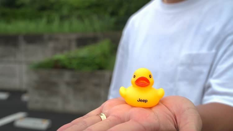 ユージさんのインスタグラム写真 - (ユージInstagram)「先日Jeepの #DuckingJeepという遊びについて、紹介する動画を撮影してきました！ ぜひご覧ください！  【Jeep JapanチャンネルにてDuckingJeep動画配信中】 Jeepは、オーナー同士のコミュニケーションが活発なことでも知られています。 そんなコミュニケーションツールとして、どこにでもあるダックの人形が使われている「ジープダック」をご存知ですか？ Jeepオーナーの「街中で素敵なJeepを見つけたら、Duckする」カルチャーとは？  今回は #DuckingJeep を日常的に楽しんでいるJeep Wranglerオーナーの皆さんが大集合！Ducking Jeepの醍醐味を語ります。  その輪が徐々に広がりつつあるジープダック。 まずはジープ正規ディーラーでDuckをGetし、街中で見つけた素敵なJeepにDuckしよう。  #ジープダック と #duckduckjeepjapan を付けて投稿してくれた方の中から、一部をJeep Japanオフィシャルインスタグラムでご紹介いたします！ 皆さんもEnjoy Ducking!!  #jeep #wrangler #ユージ #PR」10月29日 19時53分 - yujigordon