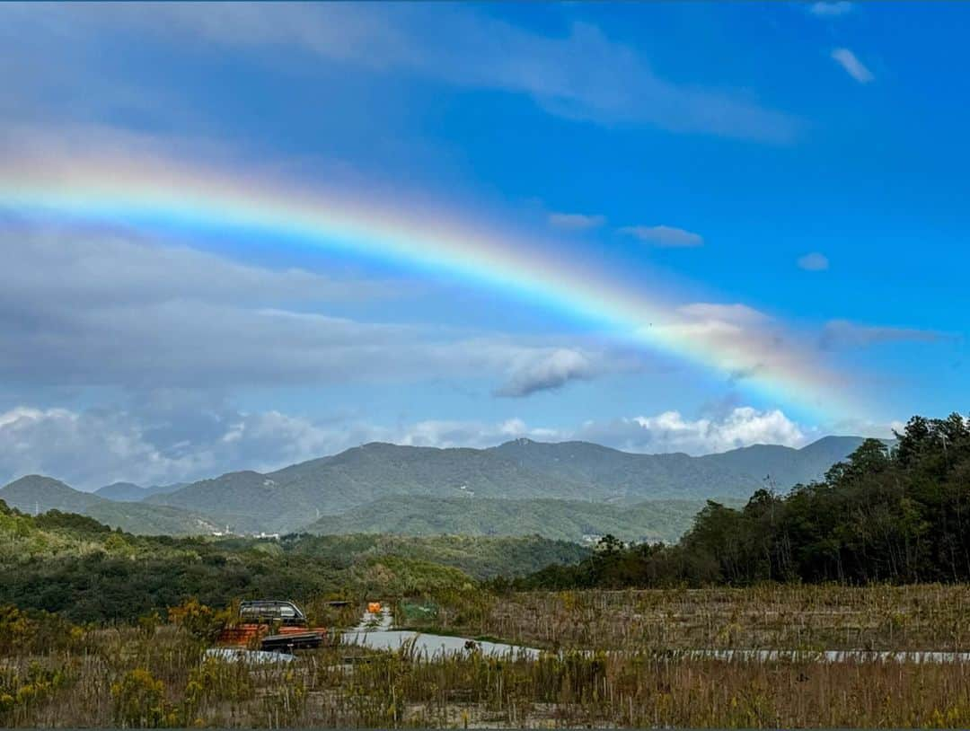 宇野陽介さんのインスタグラム写真 - (宇野陽介Instagram)「OCT 29 AUTUMN.RAINBOW. HUNTRS MOON.  #aresbikes #bmx #flatland #streetculture  #freestylebmx #dvsshoes  #madbunny #lumix #autumn  #RAINBOW #秋　#満月　#兵庫　#虹 #緑　#茶色　#赤」10月29日 19時55分 - yorkuno