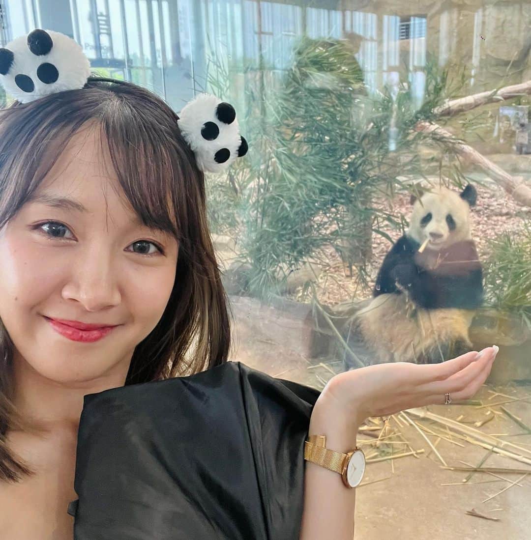 海老沢恵莉香さんのインスタグラム写真 - (海老沢恵莉香Instagram)「Orang2 pada cosplay... tahun ini aku ga cosplay apa2 jadi post foto bulan lalu pas cosplay jadi panda🐼  みんなのハロウィンコスプレ投稿に便乗していつしかのパンダになった時の写真あげとく」10月29日 20時12分 - erika_ebisawa