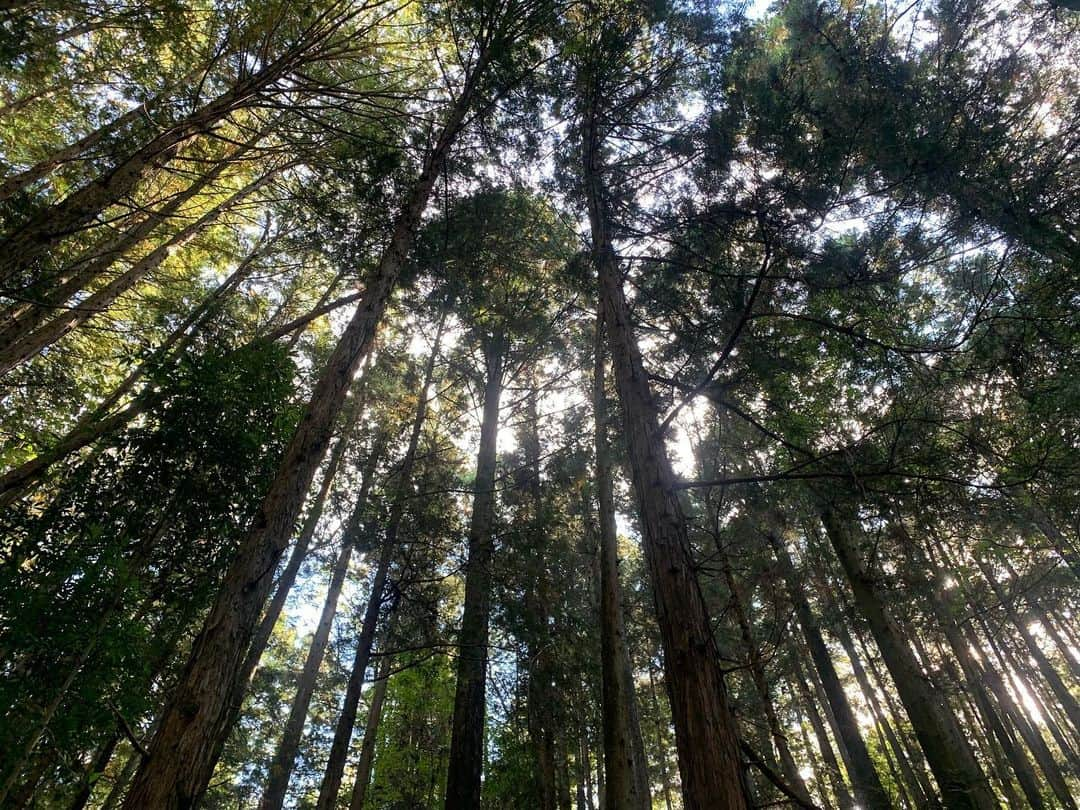 橘花梨のインスタグラム：「藤ちゃんのソロ登山がいつも楽しそうなのでついていった！あまりにも初心者に優しくないコースで正気かよと思った！山頂に着いて、標高がそんなに高くないことを知って、ちょっと損した気持ちになった！険しい道中に、人生を感じました。体力つけるのでぜひまたお供させてください師匠！ 最高に楽しかったです♡♡♡  #ふじ登山 #宝登山 #登山 #登山初心者 #登山女子 #登山部 #山登り #秩父」