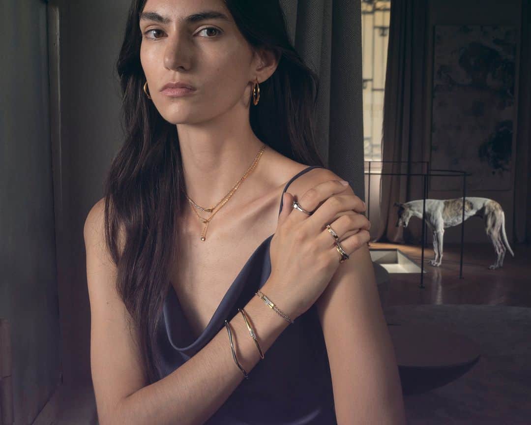 トラサルディのインスタグラム：「Introducing #TrussardiJewelry, a new line that merges the classic elegance of Italian jewelry with a contemporary perspective. For the inaugural #TrussardiFW23 jewelry collection, 3 themes are introduced: the T-Logo, which highlights the House's unmistakable "T"; the T-Design, defined by organic, natural and minimalist shapes; and the T-Heritage, which celebrates Trussardi's iconic circular greyhound symbol. The collection is captured here with Aldo, a Milanese greyhound.  Photographed by @ferry_mohr Shot on location at @onhousemilano」