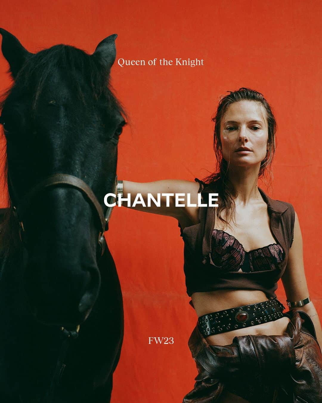 シャンテルのインスタグラム：「QUEEN OF THE KNIGHT — FALL-WINTER 2023 COLLECTION  TANYA FOR CHANTELLE. PHOTOGRAPHED BY RENAUD CAMBUZAT. PARIS, FRANCE.  @rubanoid_ wearing the ‘Nightfall’ Half-cup Foam Bra.   #ChantelleParis #FW23 #ChantelleNightfall」