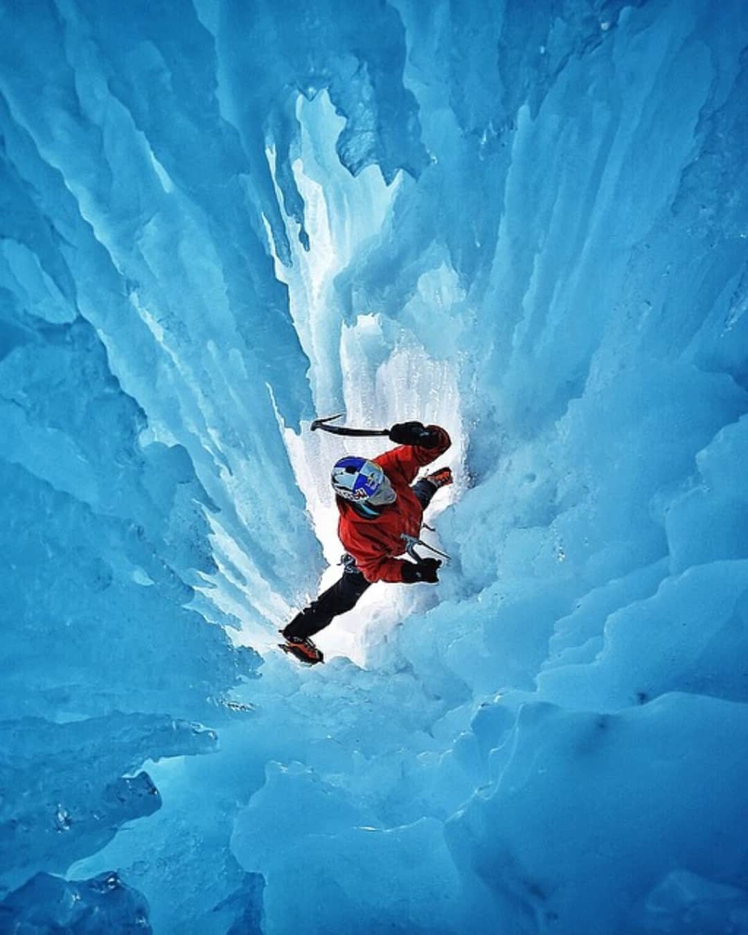 ジミー・チンのインスタグラム：「@realwillgadd likes playing with sharp objects.  Alberta, Canada」