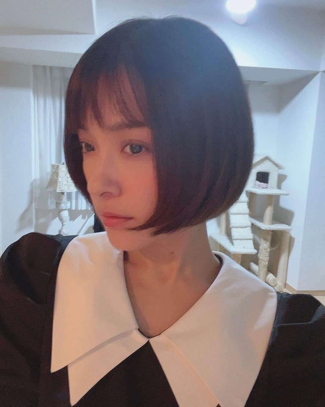 みひろのインスタグラム：「. #haircut ✂️  @artifata_chika  👚 @radychan_no_insta」