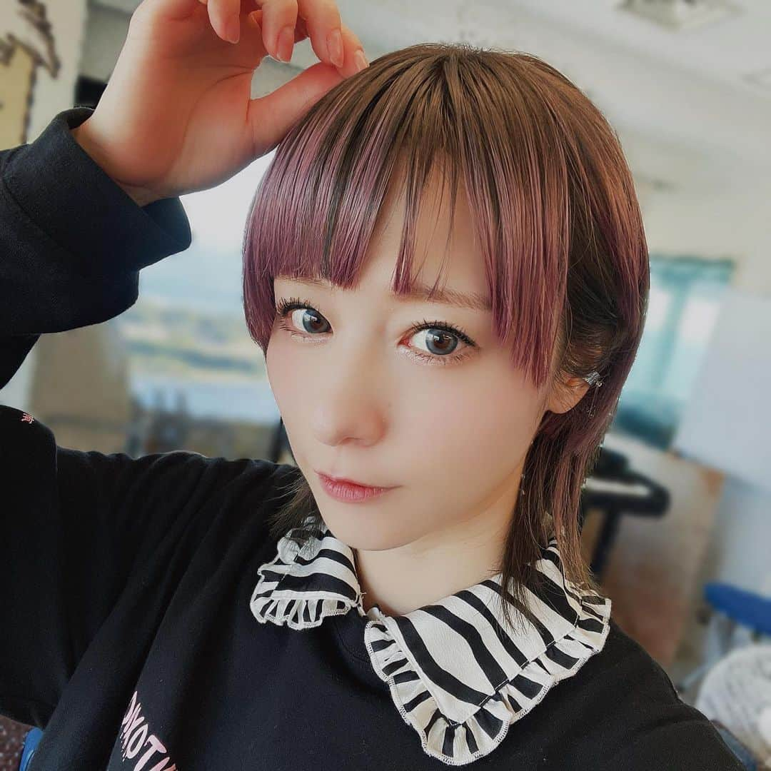 宮島咲良のインスタグラム：「ㅤㅤㅤㅤㅤㅤㅤㅤㅤㅤㅤㅤㅤ ㅤㅤㅤㅤㅤㅤㅤㅤㅤㅤㅤㅤㅤ#髪型戦隊ミヤジマン  去年11月のhairstyle💇🏼 ピンクもお気に入りだったな〜 ただピンクは強め濃いめのピンクじゃないと女子感出てしまうから難しいところ🤔 女性向けの褒め言葉に対して、感謝しつつもそこに確実に違和感を覚える自分は、ヘアスタイルやファッションでできるだけその感覚が届くようにと日々奮闘しているんだ ㅤㅤㅤㅤㅤ #派手髪ショート #ショートヘア #ウルフカット #ウルフヘア  #宮島咲良 #ミヤジマン #ぼっち戦隊ミヤジマン」