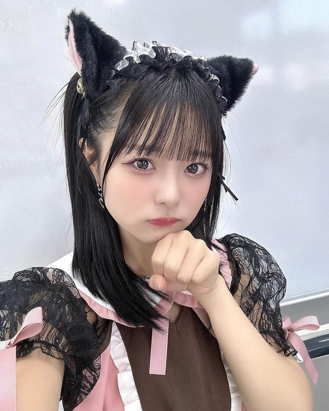 久保田沙矢香さんのインスタグラム写真 - (久保田沙矢香Instagram)「くまとねこ🐻‍🐱どっちがすきー？♡  #メイド服 #メイド #くま #くまみみ #ねこ #ねこみみ #猫耳 #コスプレ #ハロウィン #ハロウィンコスプレ #ミディアムヘア #ミディアムヘアアレンジ #ハーフツイン #黒髪 #黒髪女子」10月25日 23時53分 - kubotasayaka_0113