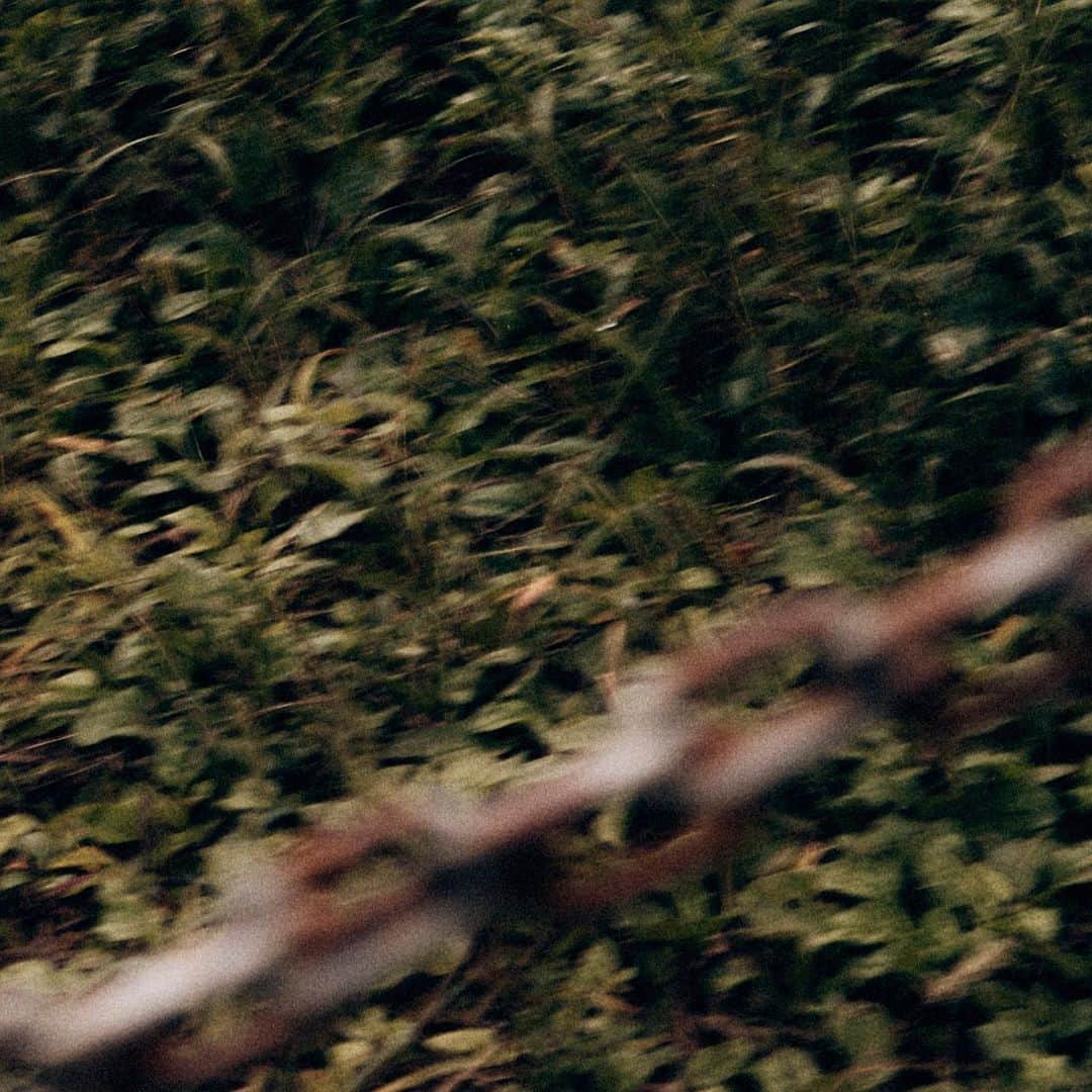 SHINeeのインスタグラム：「TAEMIN 태민 The 4th Mini Album 'Guilty' | Trailer Photo 1  〖Guilty - The 4th Mini Album〗 ➫ 2023.10.30 6PM KST  #TAEMIN #태민 @xoalsox  #SHINee #샤이니 #Guilty #TAEMIN_Guilty」
