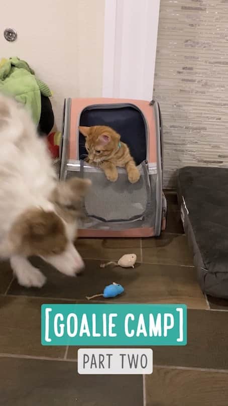 Jazzy Cooper Fostersのインスタグラム