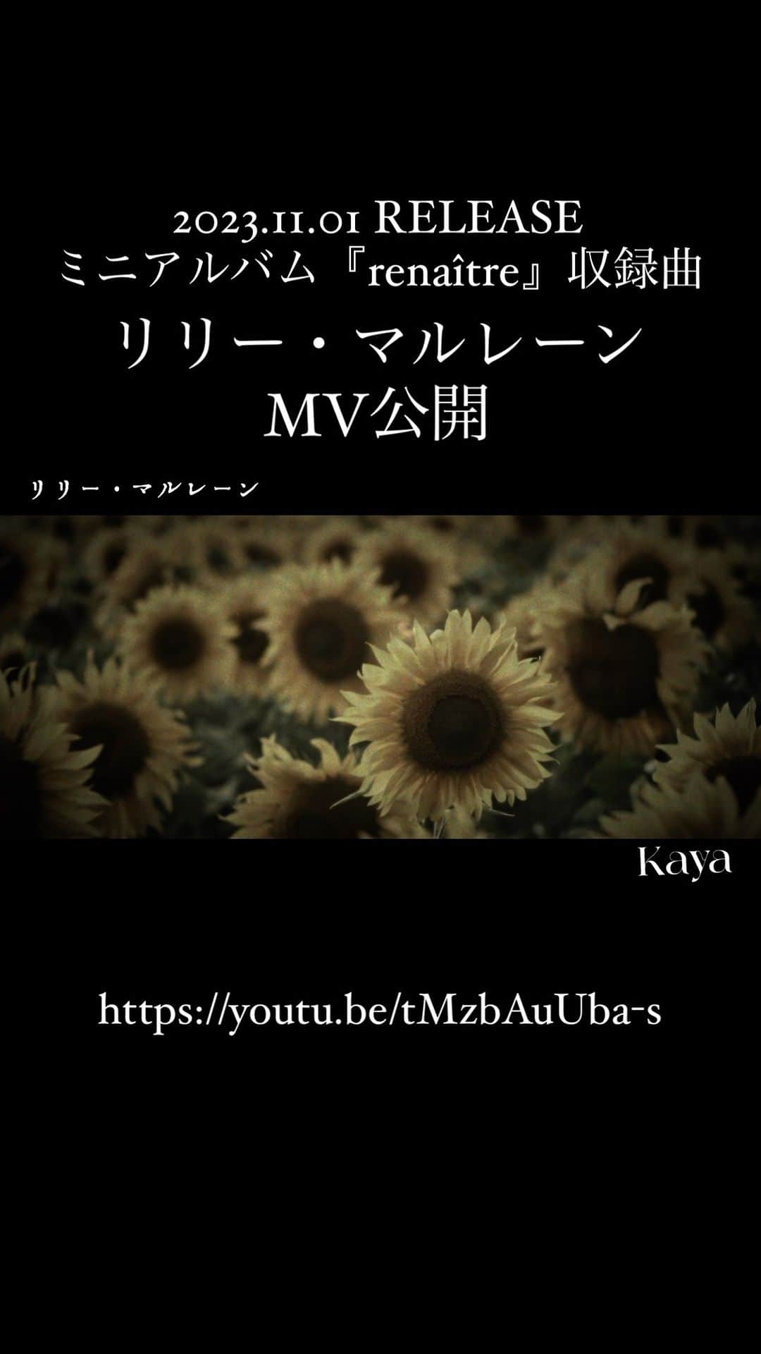 Kayaのインスタグラム