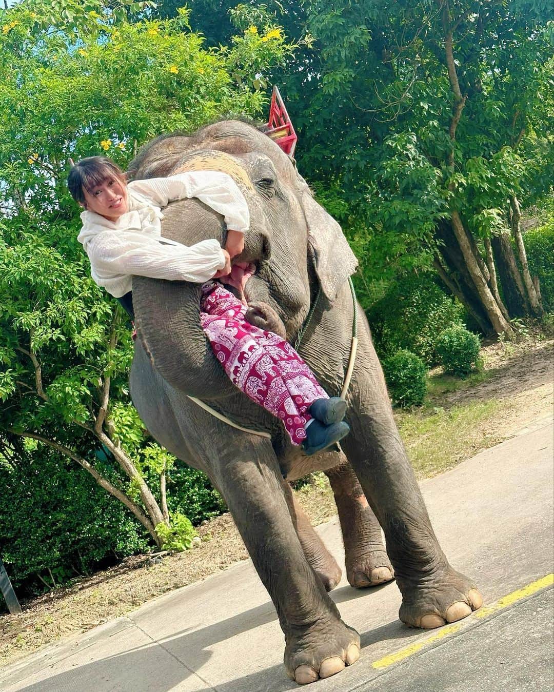 朱里さんのインスタグラム写真 - (朱里Instagram)「象さん🐘  #stardom #GE #prowrestling #Thailand #elephant #big #cute #cool #strong」10月26日 0時25分 - syuri_official