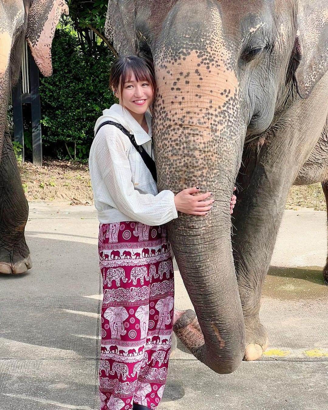 朱里のインスタグラム：「象さん🐘  #stardom #GE #prowrestling #Thailand #elephant #big #cute #cool #strong」