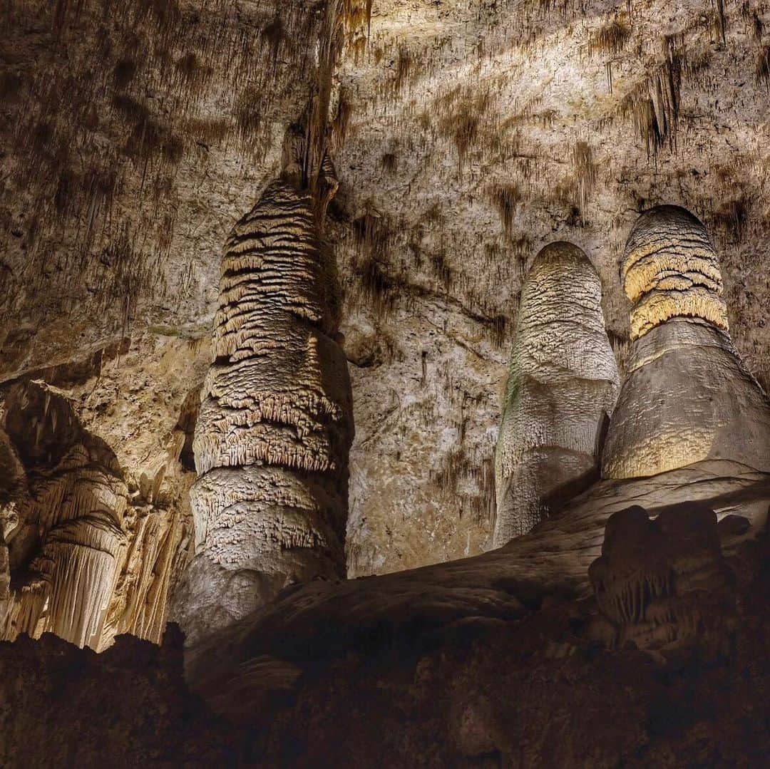 アメリカ内務省のインスタグラム：「One hundred years since its establishment, @carlsbadcavernsnps celebrates a century of discovery, preservation and protection. Hidden beneath the surface of this New Mexico park are more than 119 caves with gigantic subterranean chambers, fantastic formations and extraordinary features.    The most famous of the park's mammals are the bats. The park hosts 17 different bat species, including a large colony of Brazilian free-tailed bats that wow visitors every evening from spring through fall with spectacular flights out of the caves. Using echolocation, each bat may catch and eat more than half their body weight in insects in a single night. 🦇    Happy 💯 anniversary, Carlsbad Caverns National Park!    Photo by Michael Larson / NPS    #carlsbadcaverns #publiclands #batweek #bats   Alt Text:    Photo 1: Three impressive stalagmites (columns rising from the floor of a cave), Giant and Twin Domes, are visible along the Big Room route.    Photo 2: Switchbacks descend into the natural entrance of Carlsbad Caverns. Photo by Peter Jones / NPS.    Photo 3: Thousands of bats fly as the sunsets. Photo by Dr. Nick Hristov.」