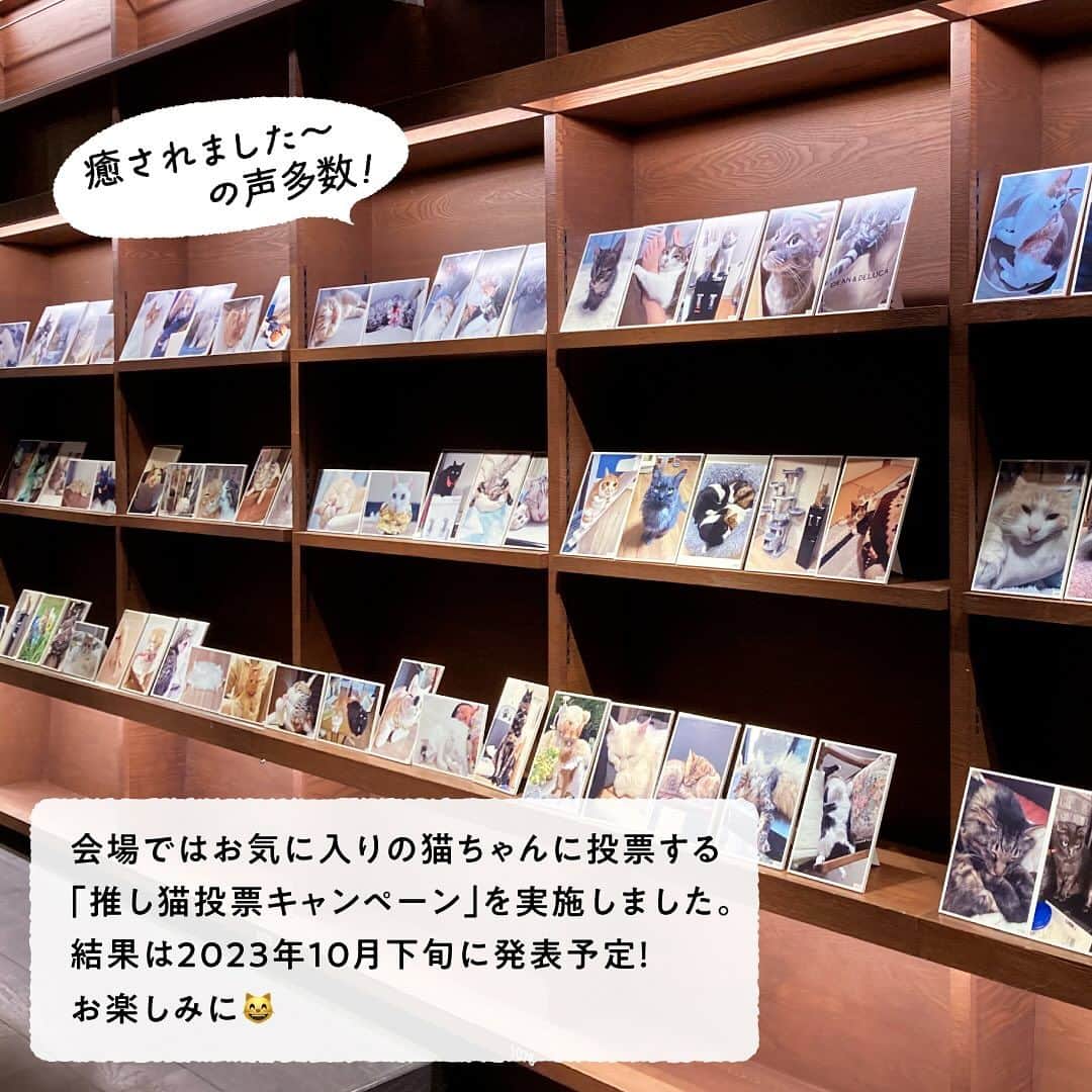 コスモウォーター【公式】さんのインスタグラム写真 - (コスモウォーター【公式】Instagram)「🐈アフターレポート🐈‍⬛ 特別展『いつでも。どこでも。ねこといっしょ。』  2023年7月27日からの約1か月間、「コスモウォーター」と「ねこにすと」がコラボでお届けする特別展「いつでも。どこでも。ねこといっしょ。」を梅田蔦屋書店にて開催いたしました！  会場には、"smartプラスにゃんモデル"の展示をはじめ、今回の展示のために蔦屋書店にてセレクトいただいた猫関連の書籍やグッズを展示販売✨  また、展示期間中にはオリジナル猫グッズが作れる“簡単ワークショップ体験”(8月6日)や、“幸せなにゃんこ写真展”(8月25日～27日)も同時開催し、多くのお客様にご来場いただきました！  猫好きの方はもちろん、大人から子供までたくさんの方に楽しんでいただくと共に、にゃんモデルを知っていただく機会となりました😺  イベントにご参加いただきました皆様、誠にありがとうございました！ コスモウォーターでは引き続き皆さまに楽しんでいただけるイベントを企画してまいります。  #コスモウォーター #コスモウォーターのある暮らし #ウォーターサーバー #ウォーターサーバーのある生活 #天然水 #美味しい水 #QOL向上 #生活の質 #ていねいな暮らし #シンプルな暮らし #水分補給 #暮らしを楽しむ #暮らしのアイデア #新生活グッズ #新婚生活 #子育て #赤ちゃんのいる生活 #こどものいる暮らし #暮らしを便利に #子育てママ #猫 #コスモウォーターにゃんモデル2023 #ねこ #猫写真 #ねこにすと #ねこすたぐらむ #ねこのいる生活 #ねこ部 #ねこのきもち」10月25日 16時19分 - cosmowater.official