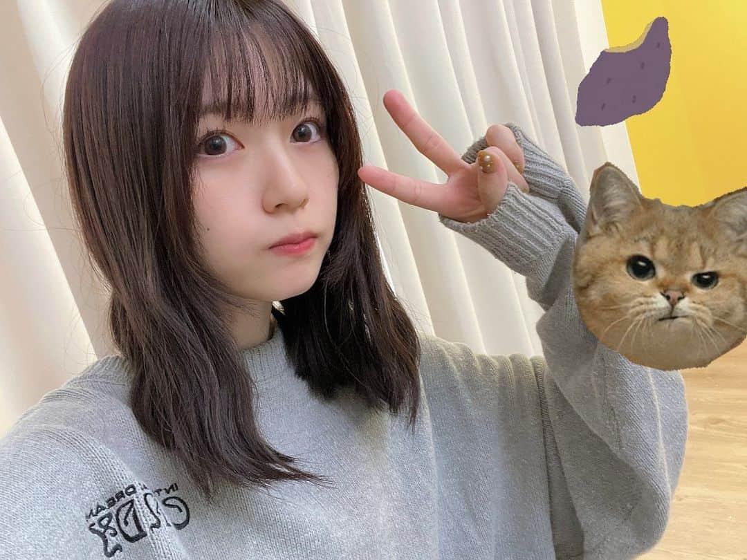 どみちゃんのインスタグラム：「🐈‍⬛  ノリでエクステとっちゃった〜  長時間ありがとうございました🥲🥲  ジョさんおすすめしたマダミスちゃんとやってて笑った いつもありがとうございます👻  #髪伸びたと思ったらいいね  #髪色なんだろって思ったらいいね #お願い #します！！！」