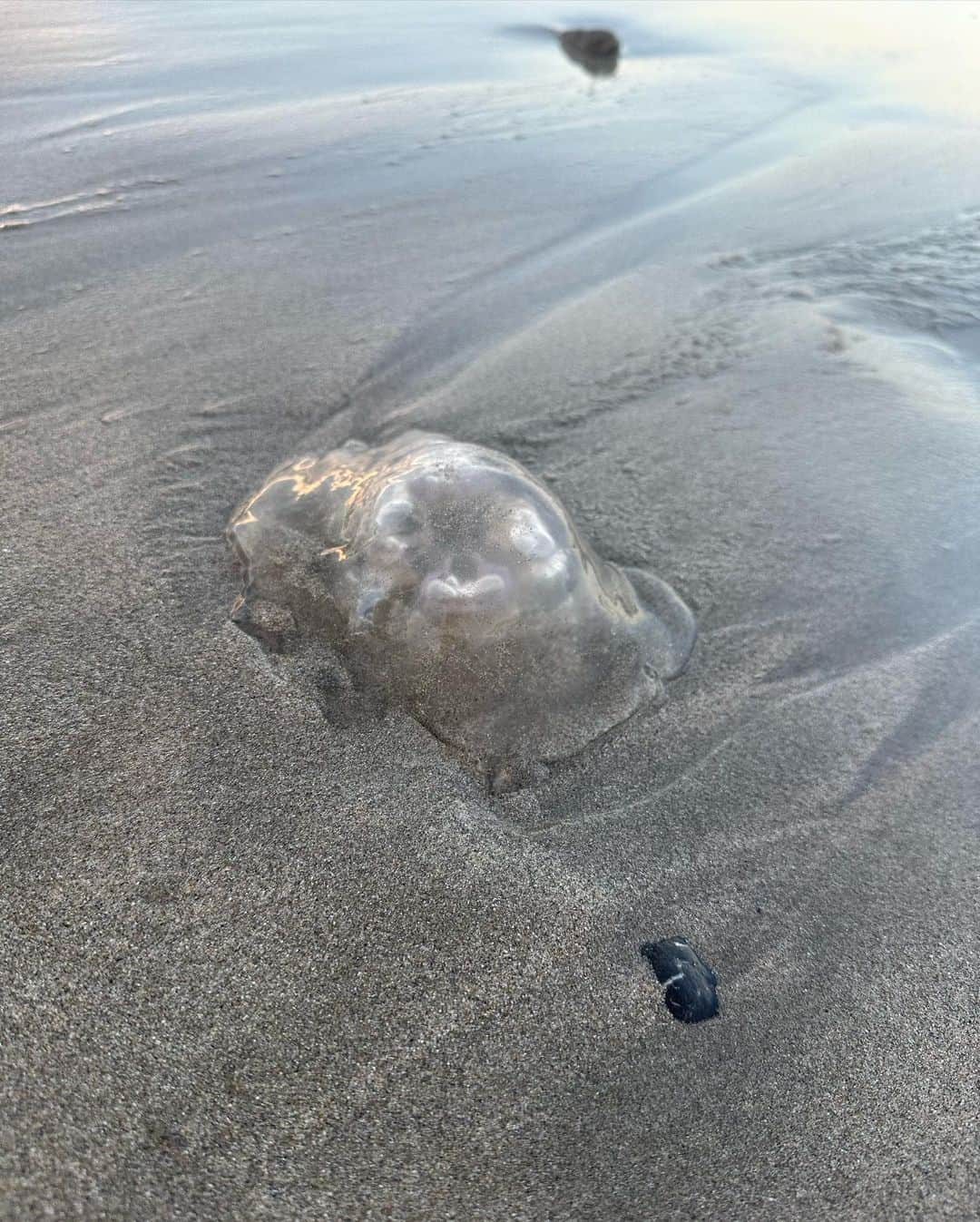 中条あやみのインスタグラム：「いろんな旅の余韻余韻。 これから美味しい秋刀魚食べれますように🐟」