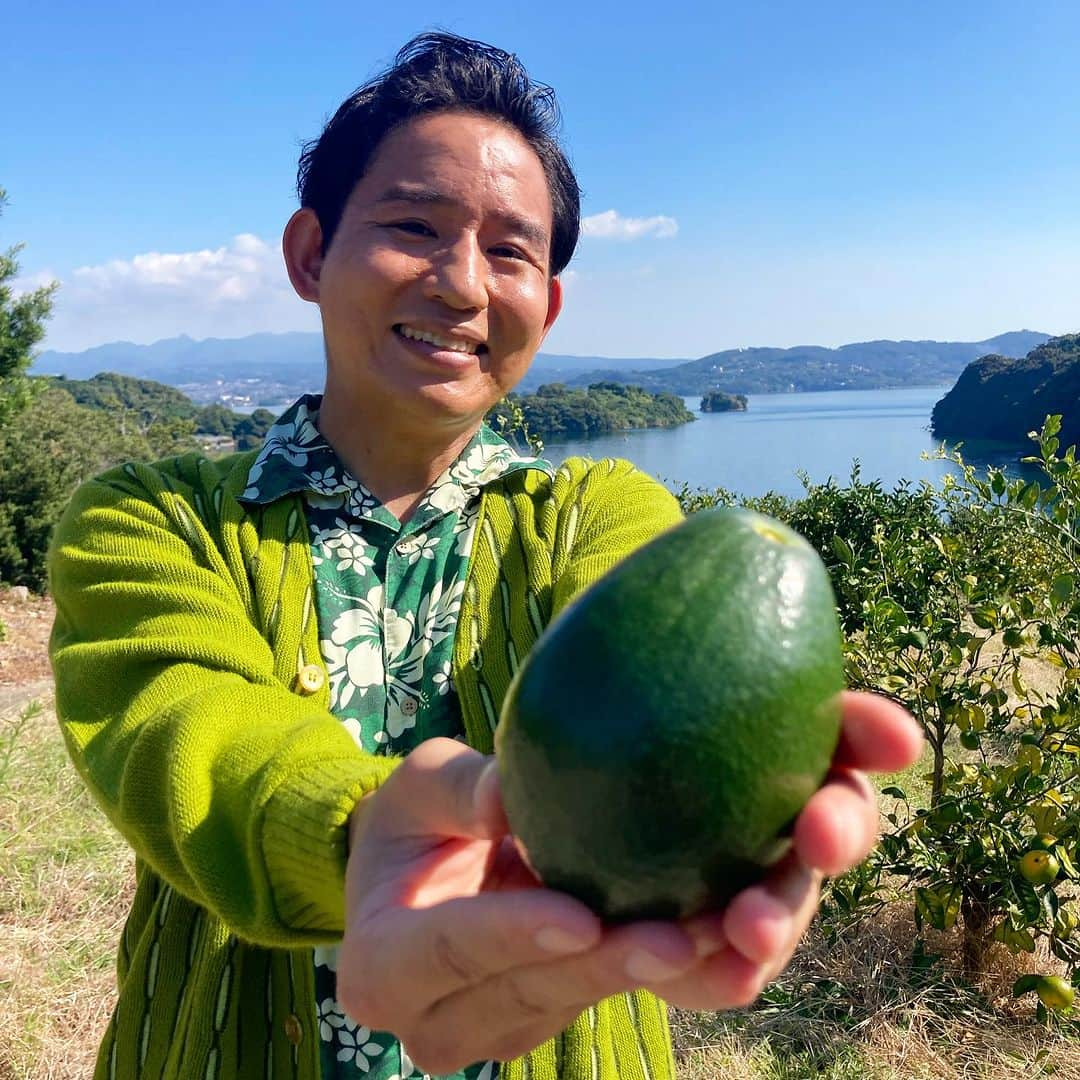 羽地政義さんのインスタグラム写真 - (羽地政義Instagram)「アサデス。7中継！ 本日は諫早市伊木力地区から 希少な国産ブランドアボカド 「ZiPANGU(ジパング)」についてお伝えしました🥑 アボカドの99%は外国産の輸入物。 国産はわずか1%と貴重なアボカドが 諫早で！伊木力で！露地栽培で育てられている🤩 国産だからこそ完熟した際に収穫できるため、 濃厚でクリーミーな味わいが実現しました🙌🙌 アレンジも楽しいアボカド🥑 コンフィ、プリン、スムージーも絶品でした🥑🥑 11月3日(金)、4日(土)は大丸福岡天神店の広場で 販売会を開催するとのことです🤤  #アボカド#諫早アボカド#長崎諫早鰐梨#ジパング#ZiPANGU#アサデス#アサナナ#アサ7」10月25日 16時39分 - hanejimasayoshi