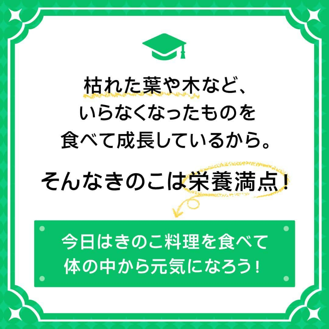 UberEATS_Japanさんのインスタグラム写真 - (UberEATS_JapanInstagram)「＼ Uber Eats 雑学王になろう！／ 秋においしい「きのこ」🍄 実は「森のお掃除屋さん」って 言われているんです！  その理由を、ご紹介✨  パスタやお味噌汁 バーベキューにも欠かせない きのこ😊  今日はきのこたっぷりの料理を Uber Eats で頼んでみない？  #UberEatsでいーんじゃない？ #UberEats #ウーバーイーツ #きのこ #キノコ #秋の味覚」10月25日 17時00分 - ubereats_japan