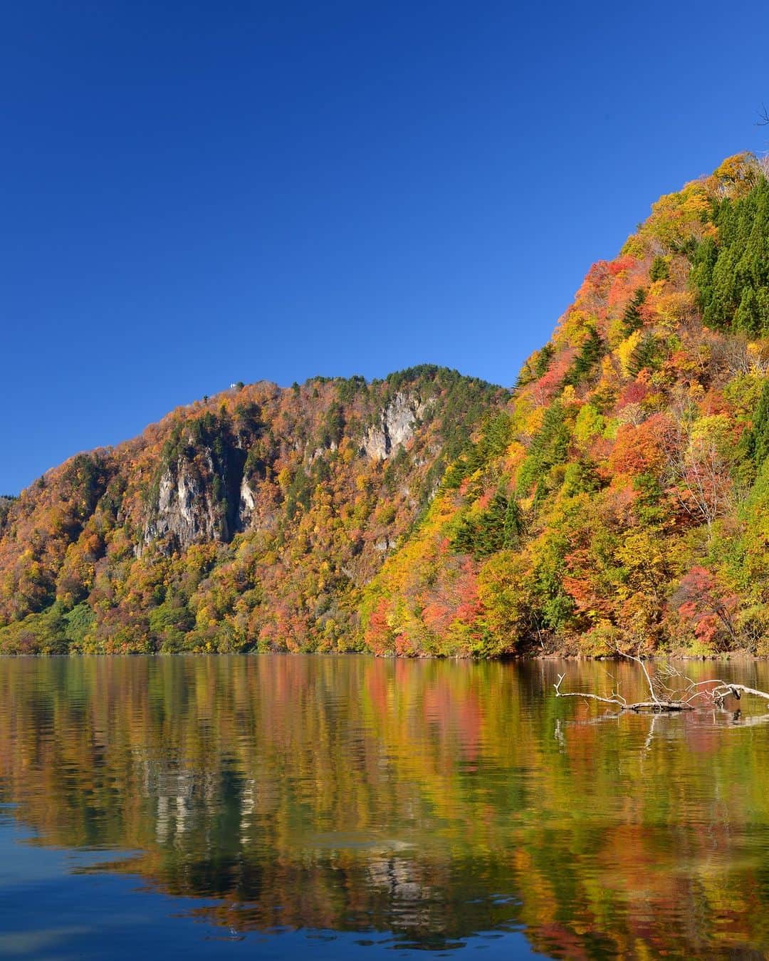 福島県さんのインスタグラム写真 - (福島県Instagram)「【沼沢湖の紅葉（金山町）】  沼沢湖の紅葉が美しい時期となりました。  沼沢湖は約5,600年前に火山の噴火によりできた山頂の湖で、県内一の深さと東北有数の透明度を誇る湖です。湖畔には公園やキャンプ場、ハイキングコース、サイクリングロードなどが整備されているため、さまざまな方法で自然を楽しむことができます。  特に紅葉の時期は透き通るような美しい水面と、黄色や赤に色づいた紅葉、秋の空とのコントラストが景色を一層美しく見せてくれます。 次のお休みには、ぜひ紅葉を見に沼沢湖へ遊びに行ってみてくださいね。  ※写真は過去に撮影したものです。紅葉の状況については、ご確認の上お出かけください。  #沼沢湖 #紅葉 #紅葉狩り #金山町 #会津 #福島県 #kaneyamatown #fukushima #RealizeFukushima #NotADreamFukushima」10月25日 17時00分 - realize_fukushima