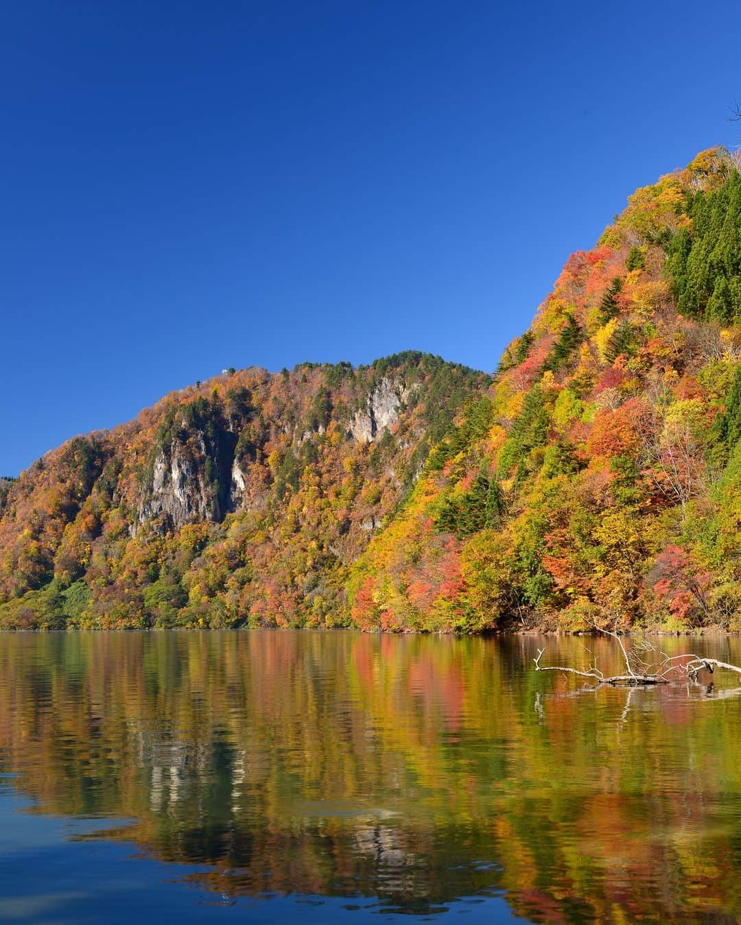 福島県のインスタグラム：「【沼沢湖の紅葉（金山町）】  沼沢湖の紅葉が美しい時期となりました。  沼沢湖は約5,600年前に火山の噴火によりできた山頂の湖で、県内一の深さと東北有数の透明度を誇る湖です。湖畔には公園やキャンプ場、ハイキングコース、サイクリングロードなどが整備されているため、さまざまな方法で自然を楽しむことができます。  特に紅葉の時期は透き通るような美しい水面と、黄色や赤に色づいた紅葉、秋の空とのコントラストが景色を一層美しく見せてくれます。 次のお休みには、ぜひ紅葉を見に沼沢湖へ遊びに行ってみてくださいね。  ※写真は過去に撮影したものです。紅葉の状況については、ご確認の上お出かけください。  #沼沢湖 #紅葉 #紅葉狩り #金山町 #会津 #福島県 #kaneyamatown #fukushima #RealizeFukushima #NotADreamFukushima」