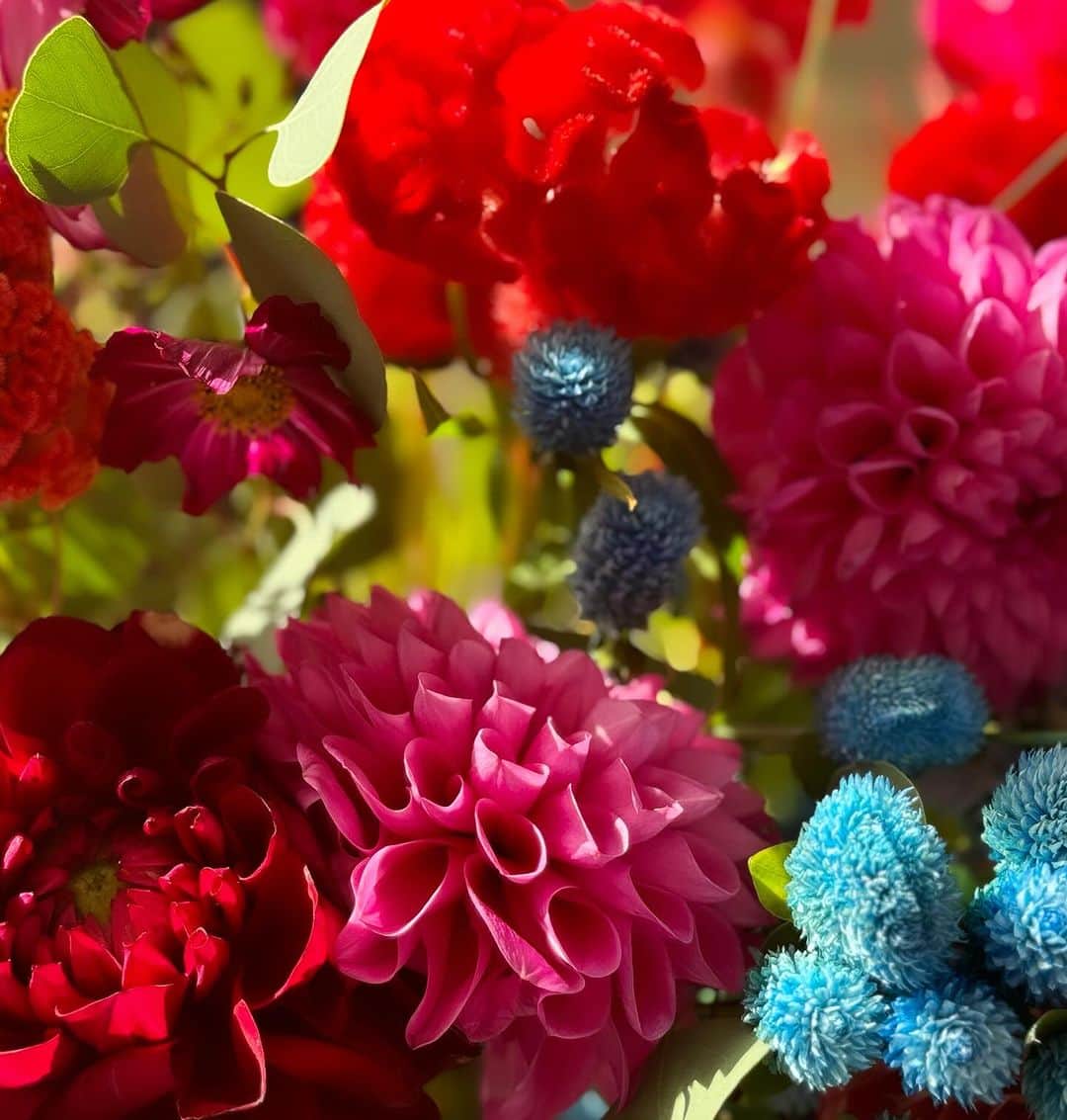 蜷川実花さんのインスタグラム写真 - (蜷川実花Instagram)「かわいいお花をいっぱい頂いたので，朝からいっぱい写真を撮りました🩷 幸せ幸せ😀 みんなありがとう，頂いたお花でいっぱい作品とれた❣️」10月25日 17時47分 - ninagawamika