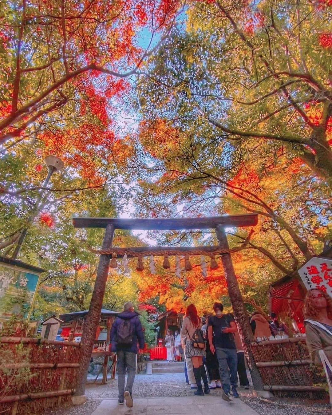 hama_aki_pppさんのインスタグラム写真 - (hama_aki_pppInstagram)「京都市右京区嵯峨野#野宮神社  Location kyoto Japan   2022.11.18   体力回復、暇を持て余し過去写真眺めてたら有るわあるわ出しそびれpic🍁🍁 ココもそう、嵐山から歩き疲れて中に入る気力も既になく表から一枚だけ撮って帰った野宮神社⛩️ 一枚だけだったので置き去りに 暇に任せてレタッチしてたら楽しくなってきた笑  　 　  #神社仏閣  #寺社仏閣  #こころから  #おとな旅プレミアム  #そうだ京都行こう  #日本に京都があってよかった  #関西でお写んぽ  #嵐山  #嵯峨野  #タビジェニ　 #京都大人旅  #日本庭園  #japanese_gardens  #japaneseshrine  #jalan_travel  #arashiyama  #japanautumn  #loves_united_kyoto  #visitjapanjp #zekkeipicture  #autumn_leaves  #iphonephotography  #jalan_travel  #sorakataphoto  #kyotoshrine  #cooljapanvideos  #deaf_b_j_  #total_japan  #japanesegarden」10月25日 17時46分 - hama_aki_ppp