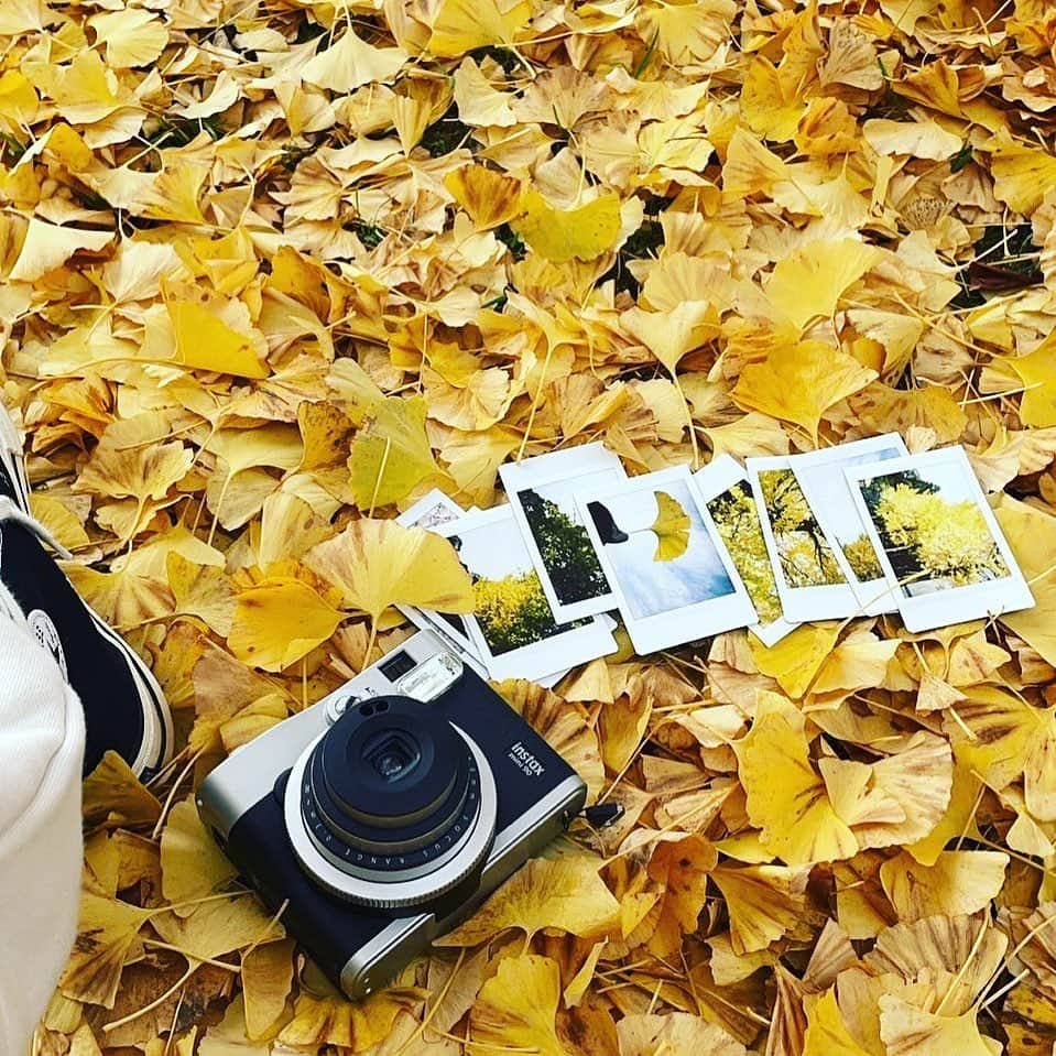 Fujifilm instaxのインスタグラム