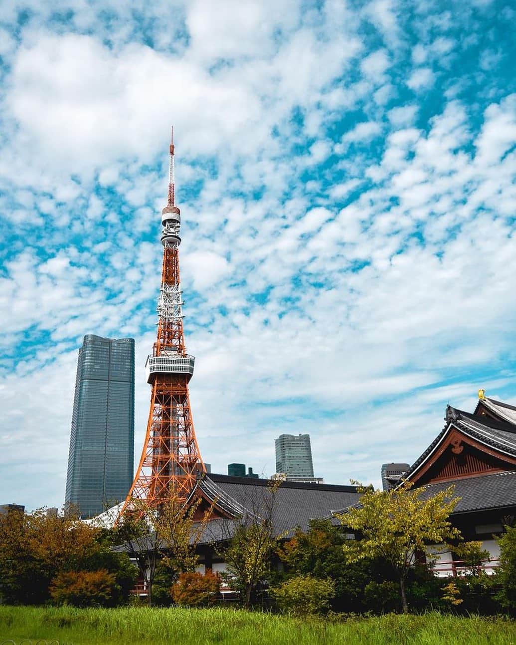 東京タワーのインスタグラム：「. 青い空に浮かぶ綺麗なうろこ雲。 色を変えはじめる芝公園の木々。   本格的な秋の訪れを感じる一枚ですね🍂   本日は、Your Tokyo Tower🗼から @you.itabashi さんのお写真をご紹介！   素敵なお写真をありがとうございました😊  ———————————  【 お知らせ 】  ■ Your Tokyo Tower 🗼  # your_tokyotowerで あなたの東京タワーをリポスト！  @tokyotower_official の タグ付けをしてくれると見つけやすいよ！  皆様からの投稿 どしどしお待ちしております！  ■ 公式LINE  東京タワー公式LINEでは 東京タワーのイベント情報を お届けしています！  詳細はプロフィールにあるリンクから↓ @tokyotower_official  ———————————  #東京タワー #東京タワー🗼  #tokyotower #tokyotower🗼  #秋  #autumn」