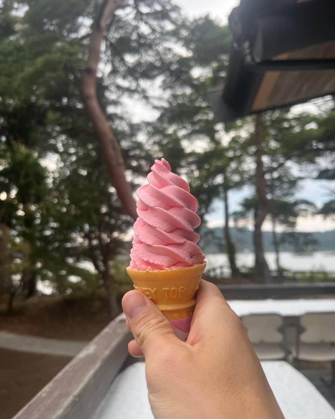 SEN（三辻茜）のインスタグラム：「Matsushima trip: winter ice creams, tiny rainbows, tatami views, 💚 trees」