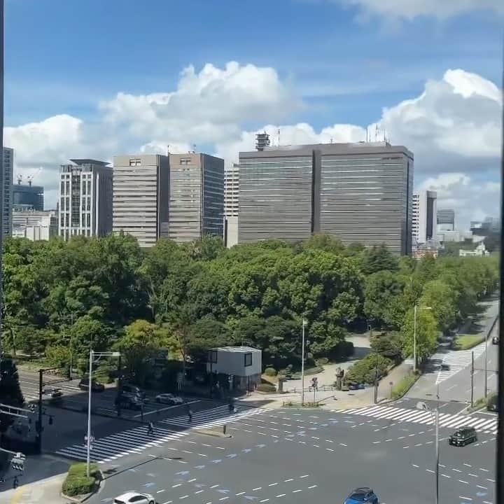The Peninsula Tokyo/ザ・ペニンシュラ東京のインスタグラム：「5階スイミングプールのオープンエアバルコニーからのぞむ日比谷公園や皇居外苑の景色。 @majuhoi_91 素敵なビデオをシェアしてくださり、ありがとうございました！  Lazy afternoons by the pool...with views like this, where else would you rather be? Thank you @majuhoi_91 for sharing your #penmoments with us!」