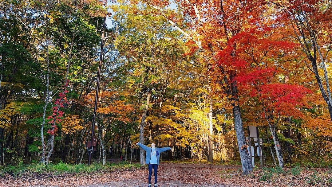 高松いくさんのインスタグラム写真 - (高松いくInstagram)「CAMP✖︎YOGA(1/3)📷  Danner Camp event 〜朝ヨガ〜☀️🏕️🧘  みんなで作った輪😊  上空で撮ってくださり、ありがとうございます😍  1人で立つことが難しくても みんなで手を合わせて🖐️🖐️バランスを取れば お互いに“楽”になる🧍🧍‍♀️🧍‍♂️  キャンプだからこそ🏕️ イベントだからこそ  一期一会の人たちと😊  笑いながら😆チャレンジしてみる共同YOGA  大空の下☁️紅葉に🍁包まれ🍁芝生の上で🌱🌿🍂  深呼吸が気持ち良くなる、キャンプヨガ🧘‍♀️  皆様からの  「これならヨガやってみようかな〜」とか 「楽しかった〜」って、お言葉はもちろん😭  表情も体も軽そうになっていると とっっっっても嬉しい☺️  これからも みんなが、この時間「自分の呼吸に飽きない」 「いろんなバランスをとるヨガ」を  楽しく考え続けていきます‼️  皆様 嬉しい時間でした(´༎ຶོρ༎ຶོ`)  ありがとうございました❤️  あと2回、キャンプヨガ投稿続きます🙏😂  #アウトドア #キャンプ #キャンプ場  #outdoor #camp #event #karuizawa #yoga  #イベント #体験 #秋 #紅葉 #紅葉スポット  #ライジングフィールド軽井沢  #紅葉キャンプ #四季 #日本　#アクティビティ   🧘EVENT情報🏄 11月は、栃木県✨12月は、東京🗼で...😆Coming soon」10月25日 18時35分 - iku_takamatsu_trip_sup_yoga